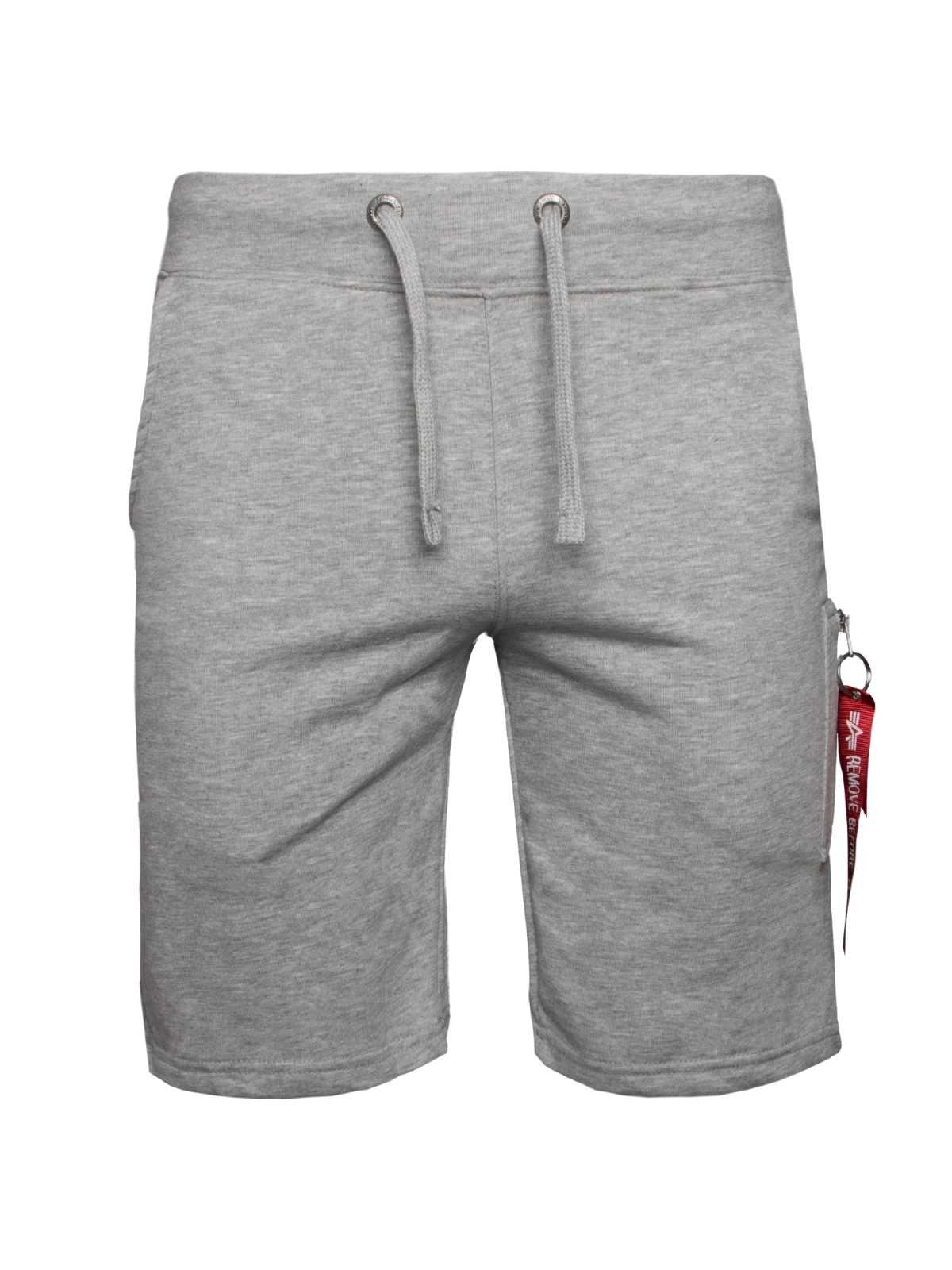 ALPHA INDUSTRIES Hlače  pegasto siva