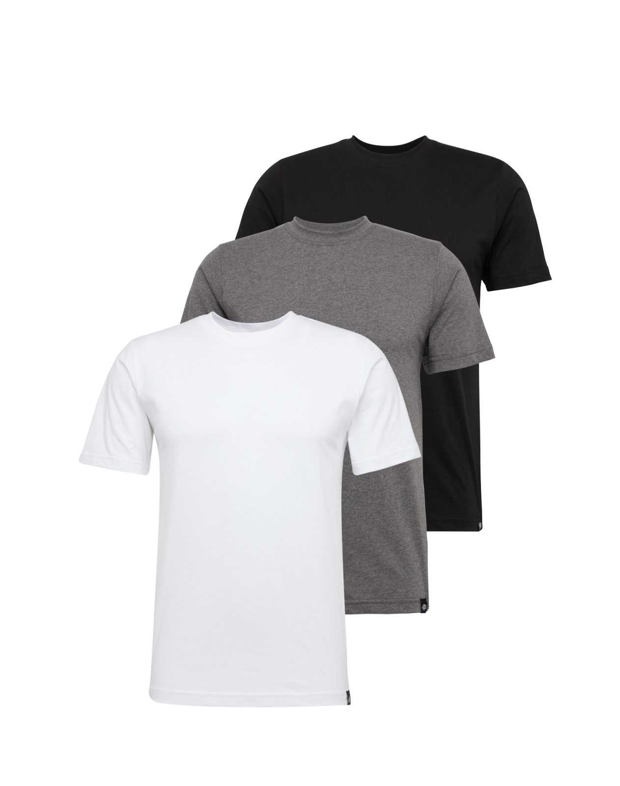 DICKIES Majica  siva / črna / bela