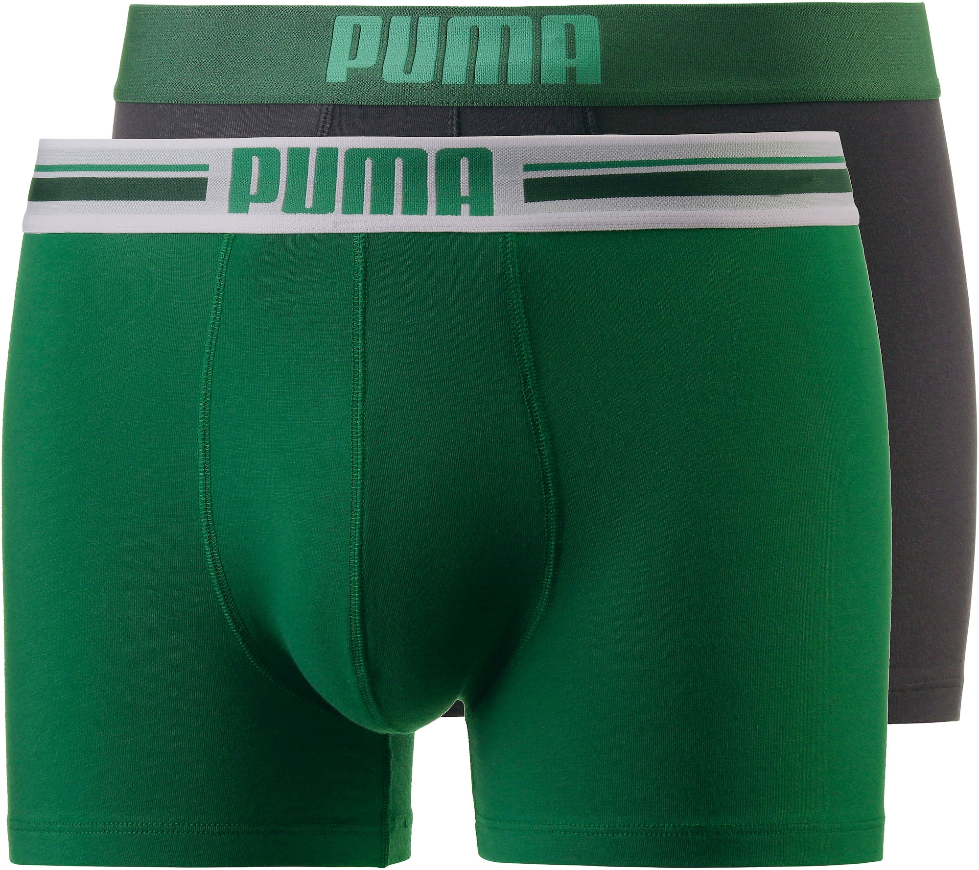 PUMA Boksarice  grafit / smaragd