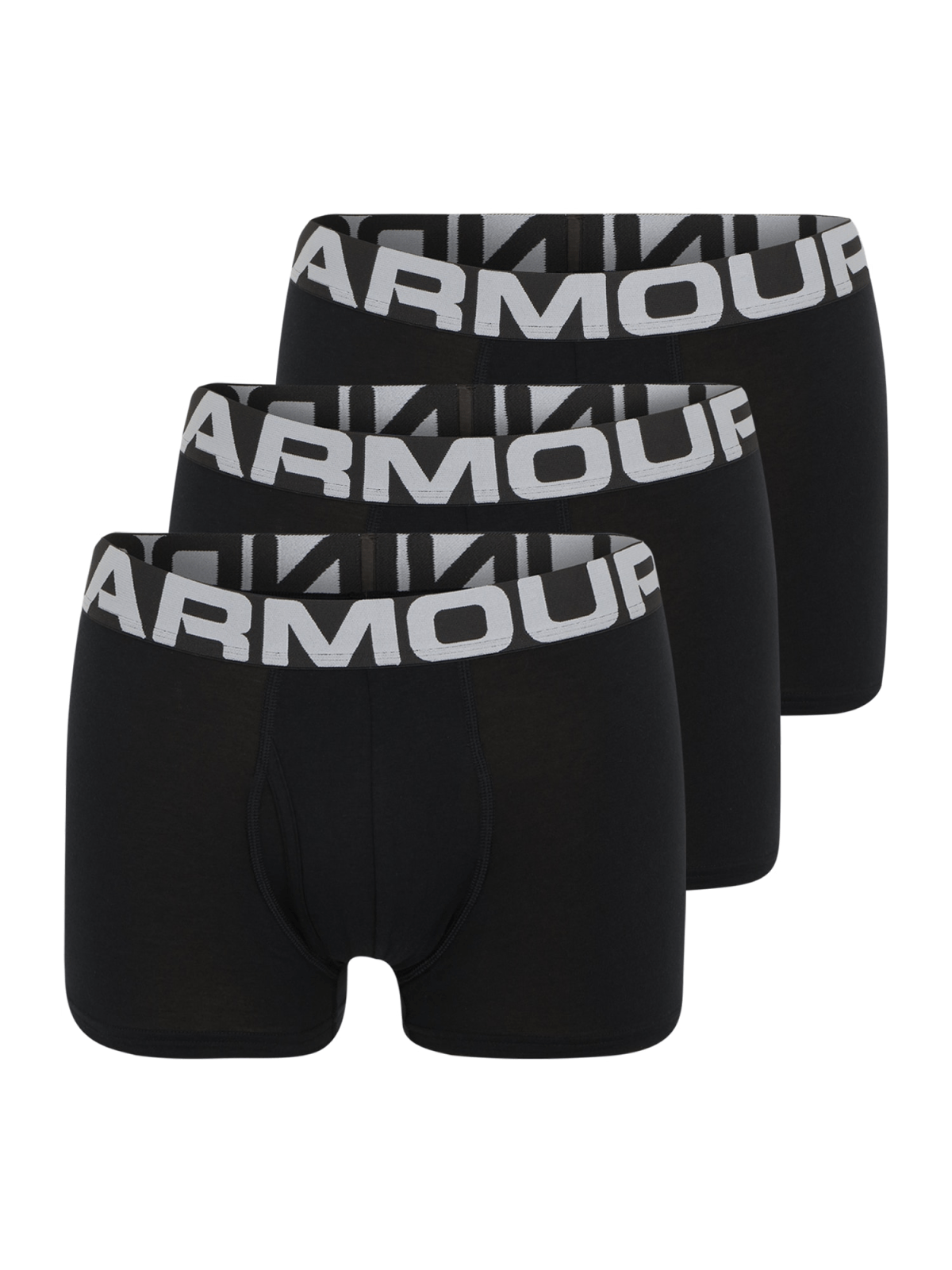 UNDER ARMOUR Športne spodnjice  svetlo siva / črna / naravno bela