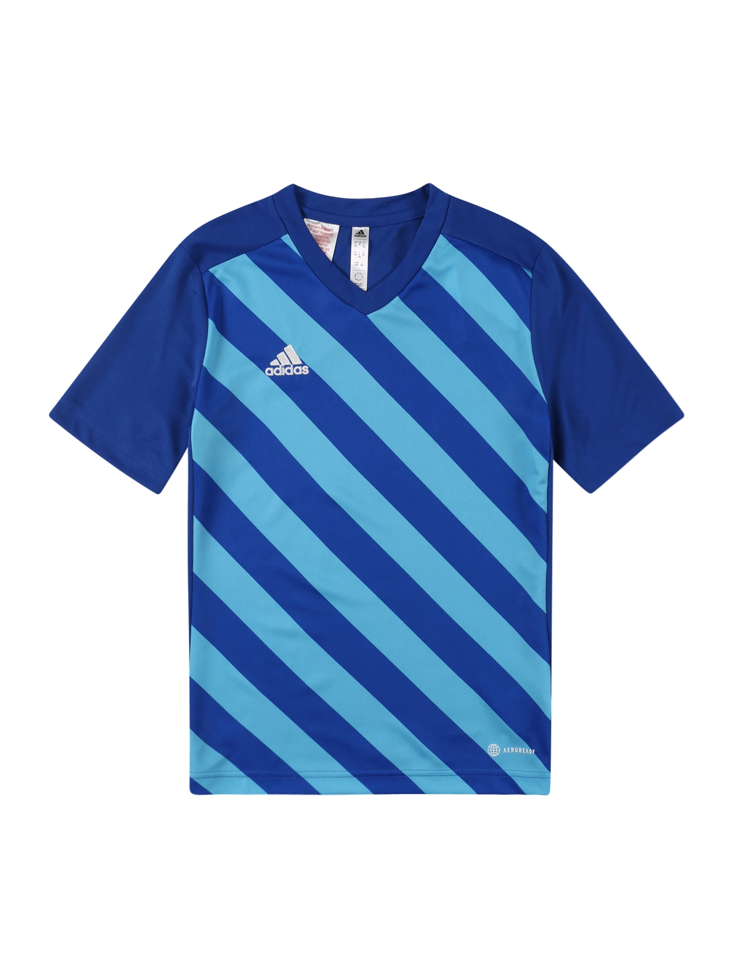 ADIDAS PERFORMANCE Funkcionalna majica 'Entrada 22'  modra / svetlo modra / bela