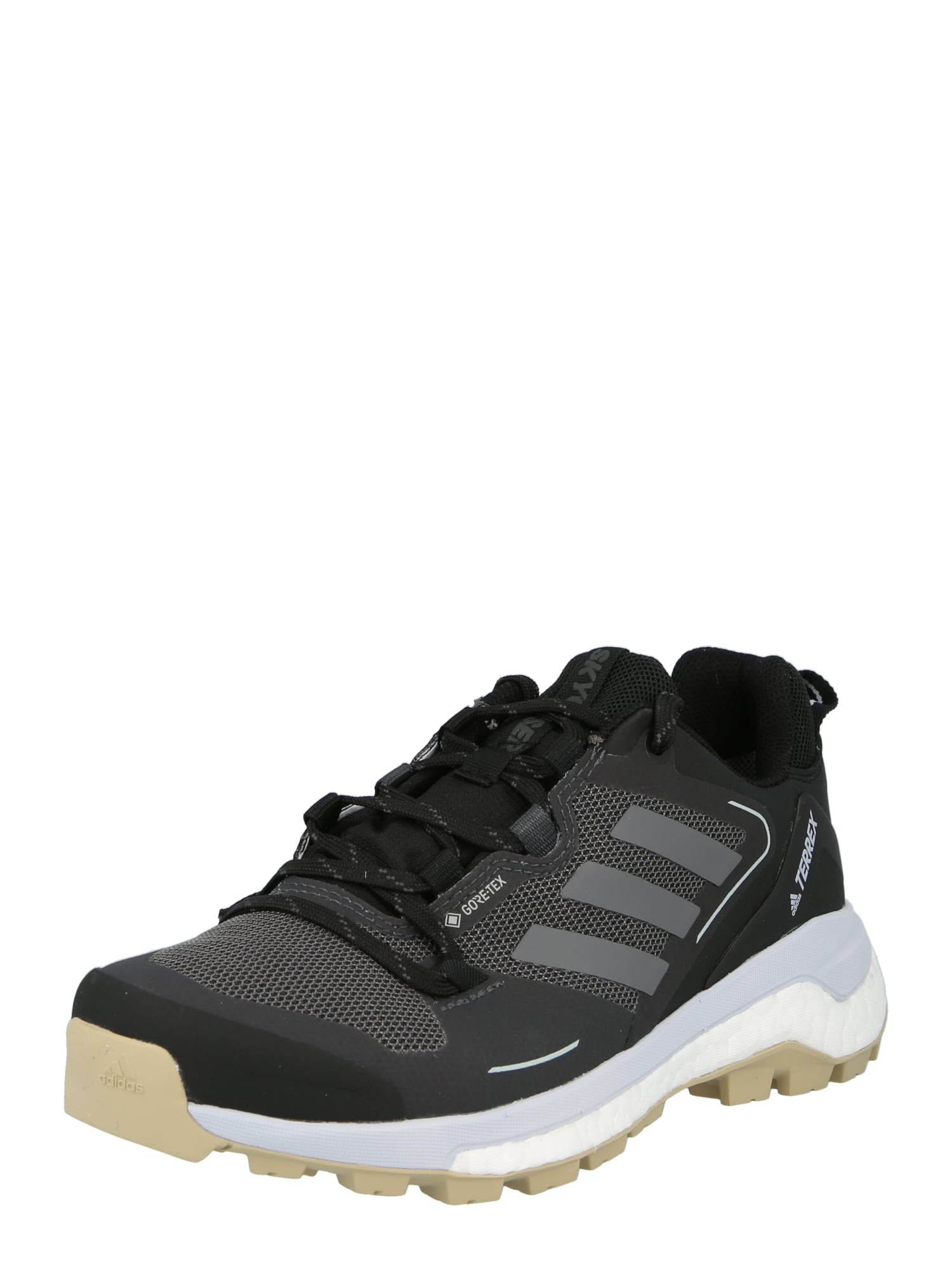 ADIDAS TERREX Nizki čevelj 'TERREX SKYCHASER 2 GTX W'  bazaltno siva / črna