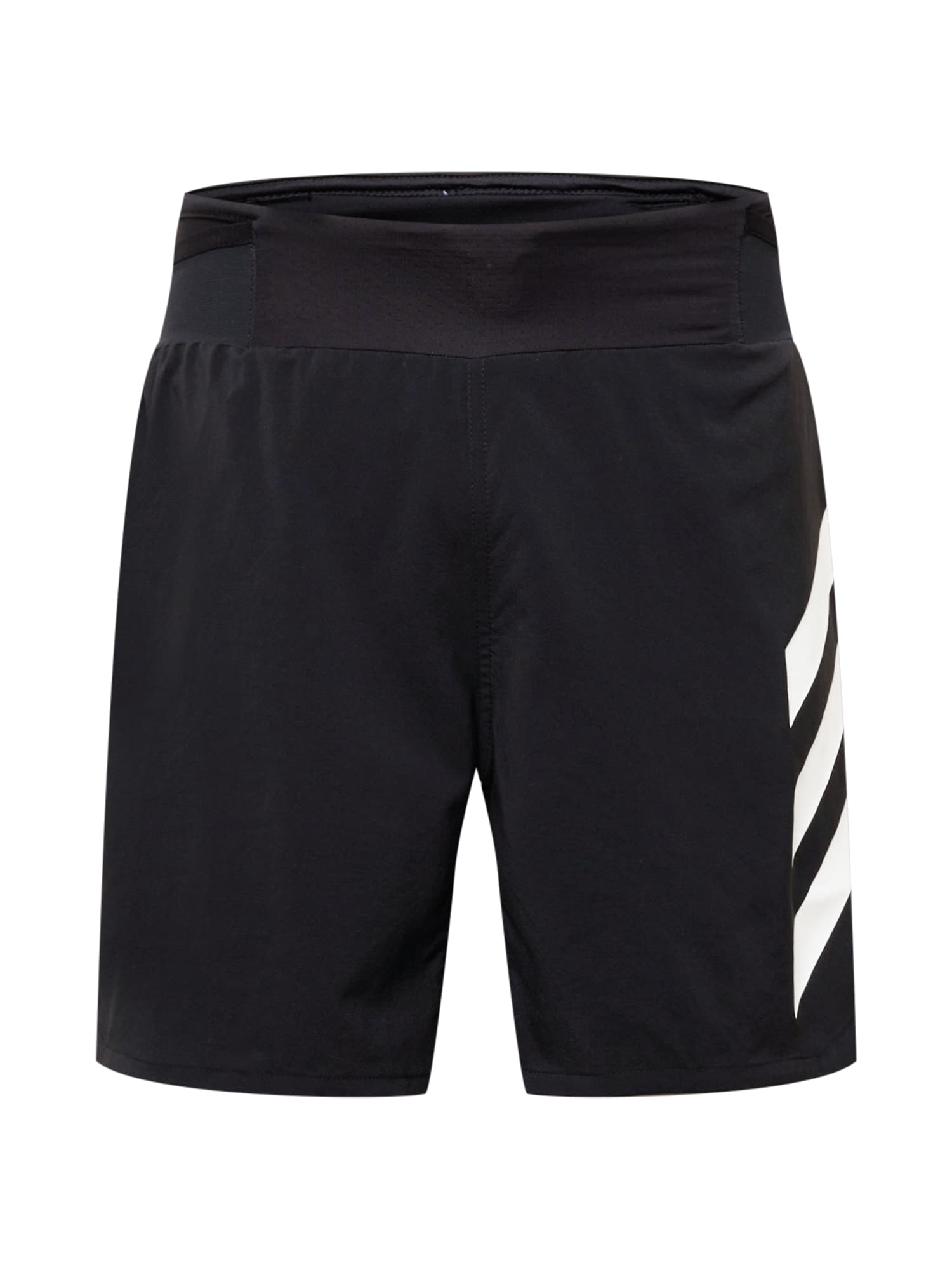 ADIDAS TERREX Športne hlače 'Agravic'  črna / bela