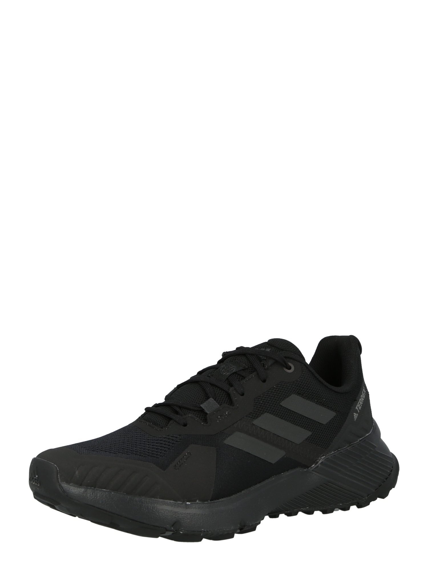 ADIDAS TERREX Tekaški čevelj  antracit / črna