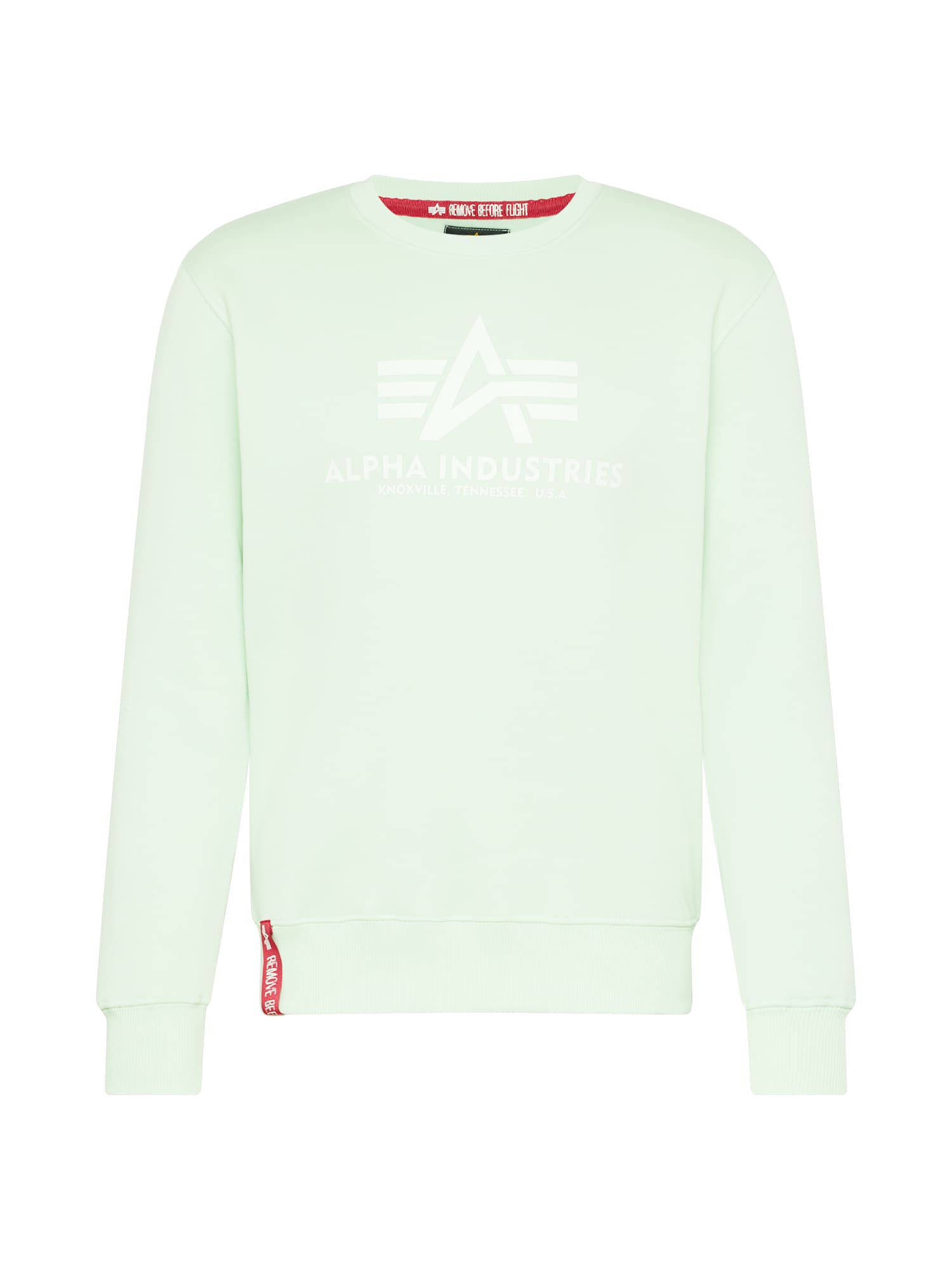 ALPHA INDUSTRIES Majica  pastelno zelena / bela