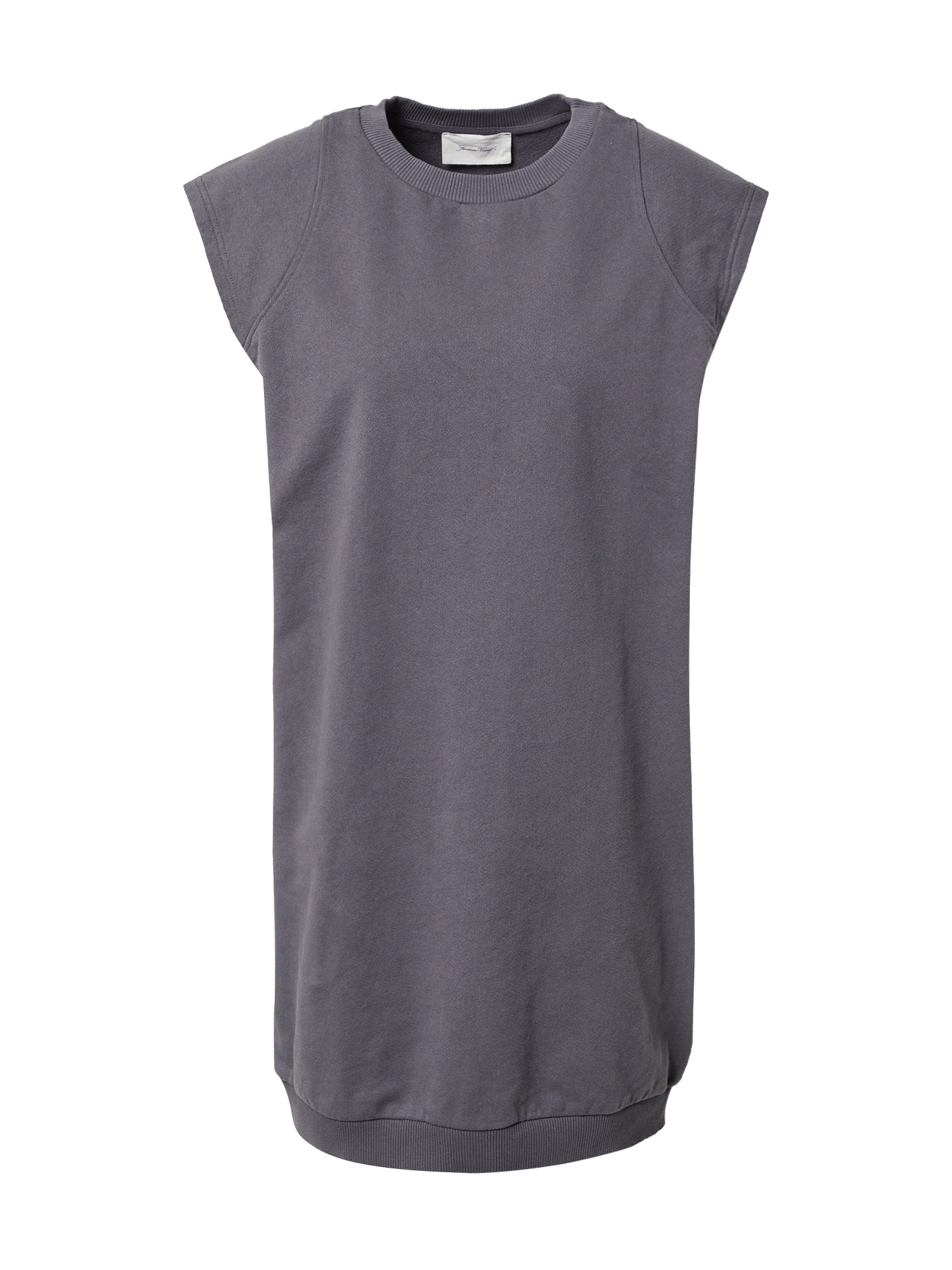 AMERICAN VINTAGE Obleka 'Wititi'  temno siva