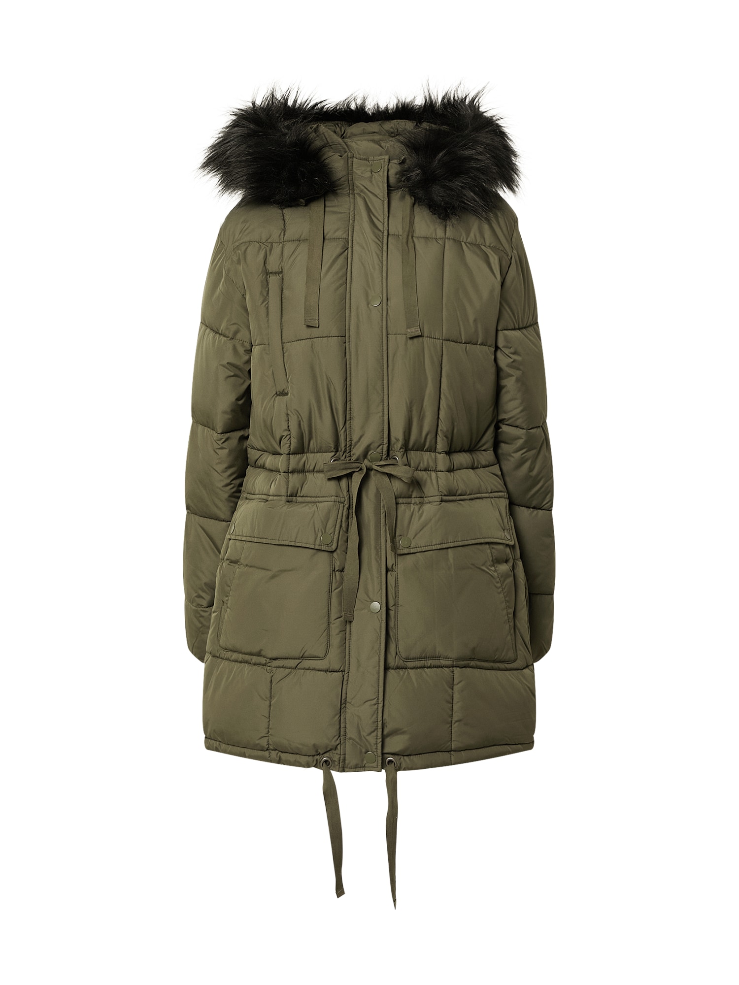 American Eagle Zimski plašč  oliva