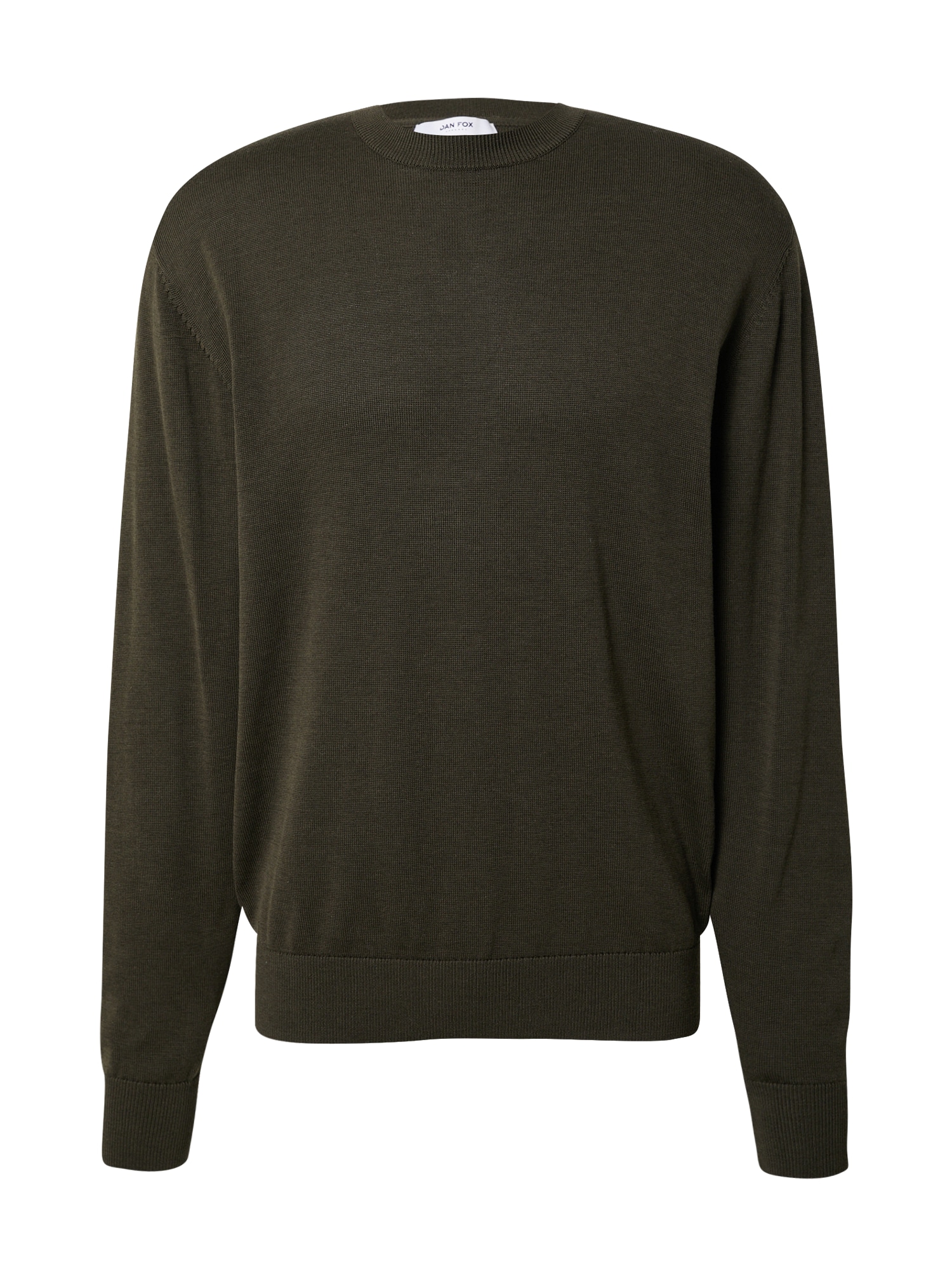DAN FOX APPAREL Pulover 'Gregor'  temno zelena
