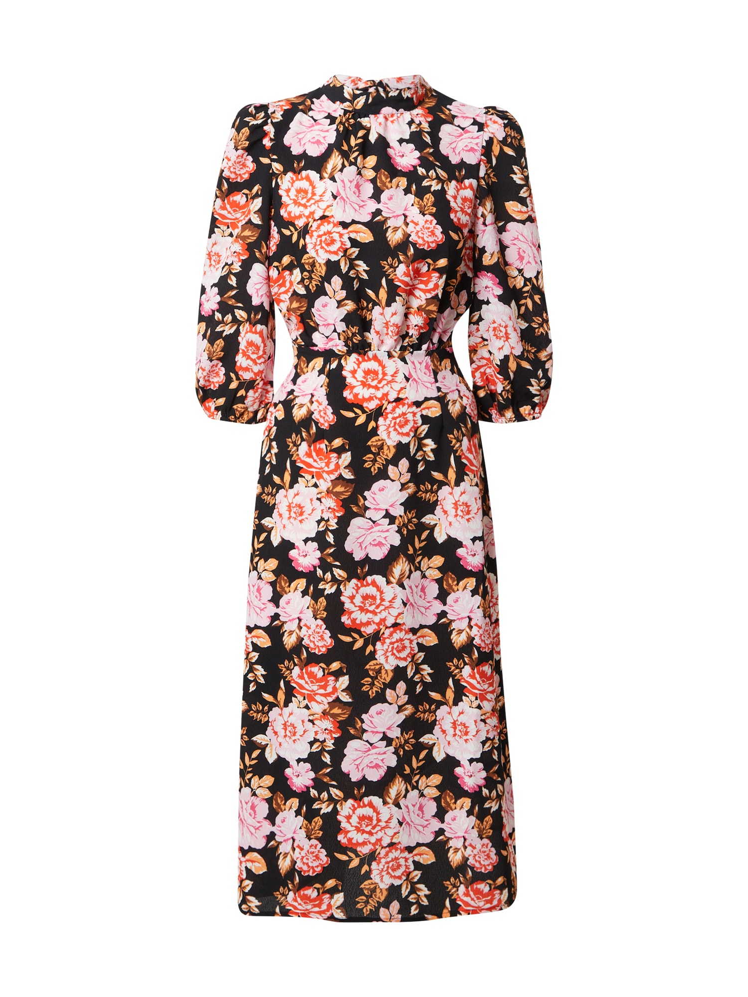 Dorothy Perkins Obleka  mešane barve / črna