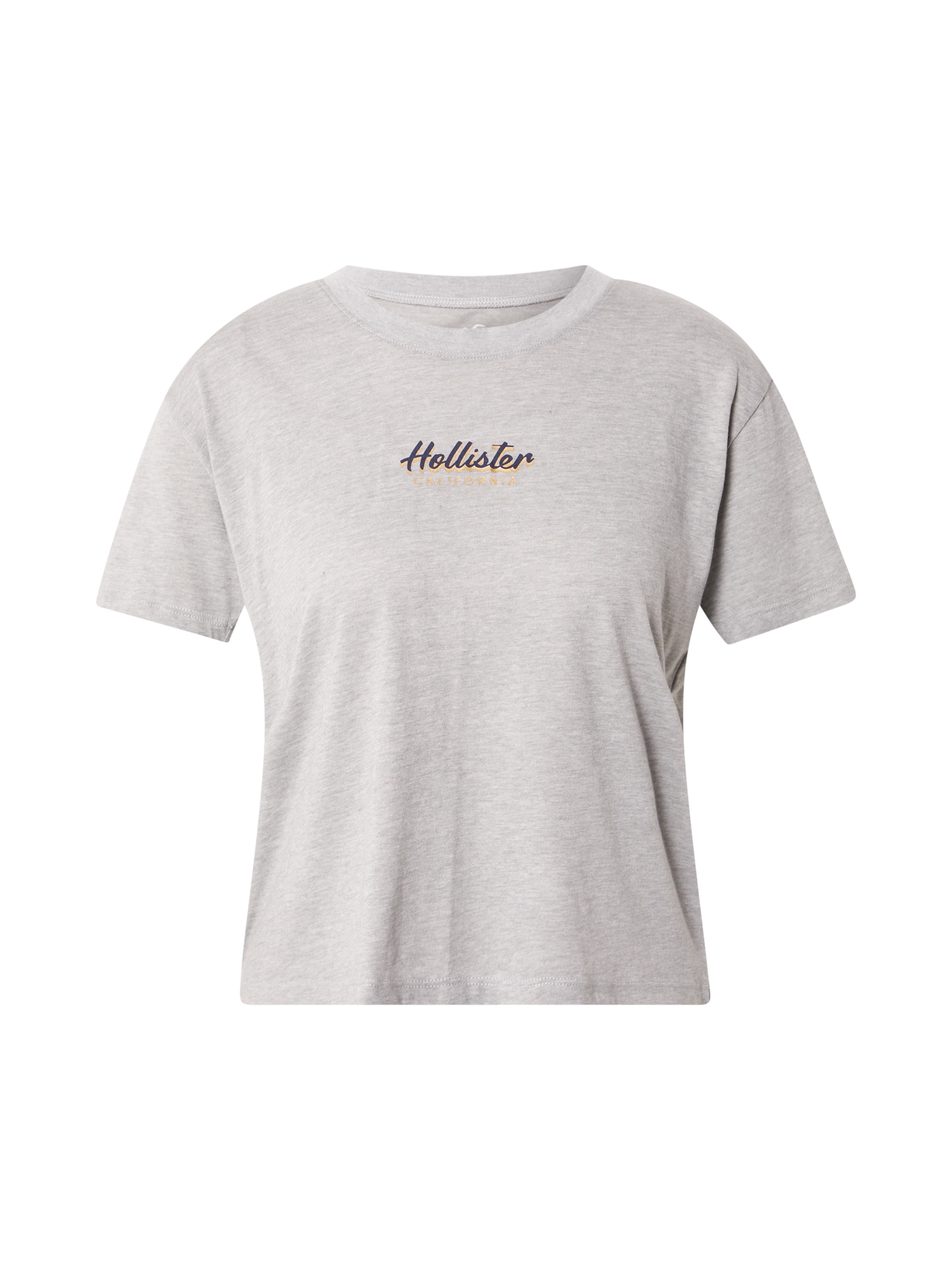 HOLLISTER Majica  rumena / siva / sliva