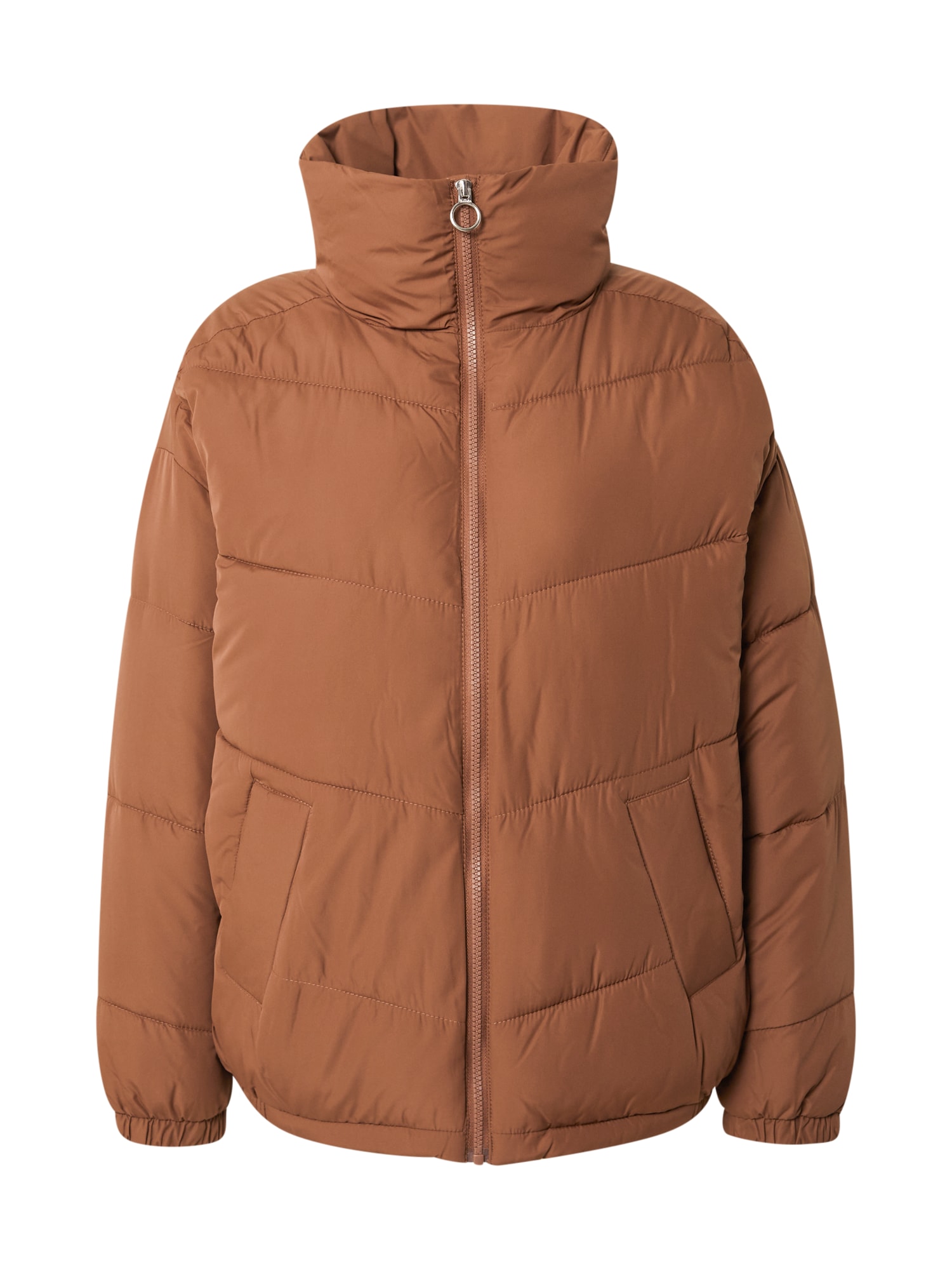 HOLLISTER Zimska jakna  rjava
