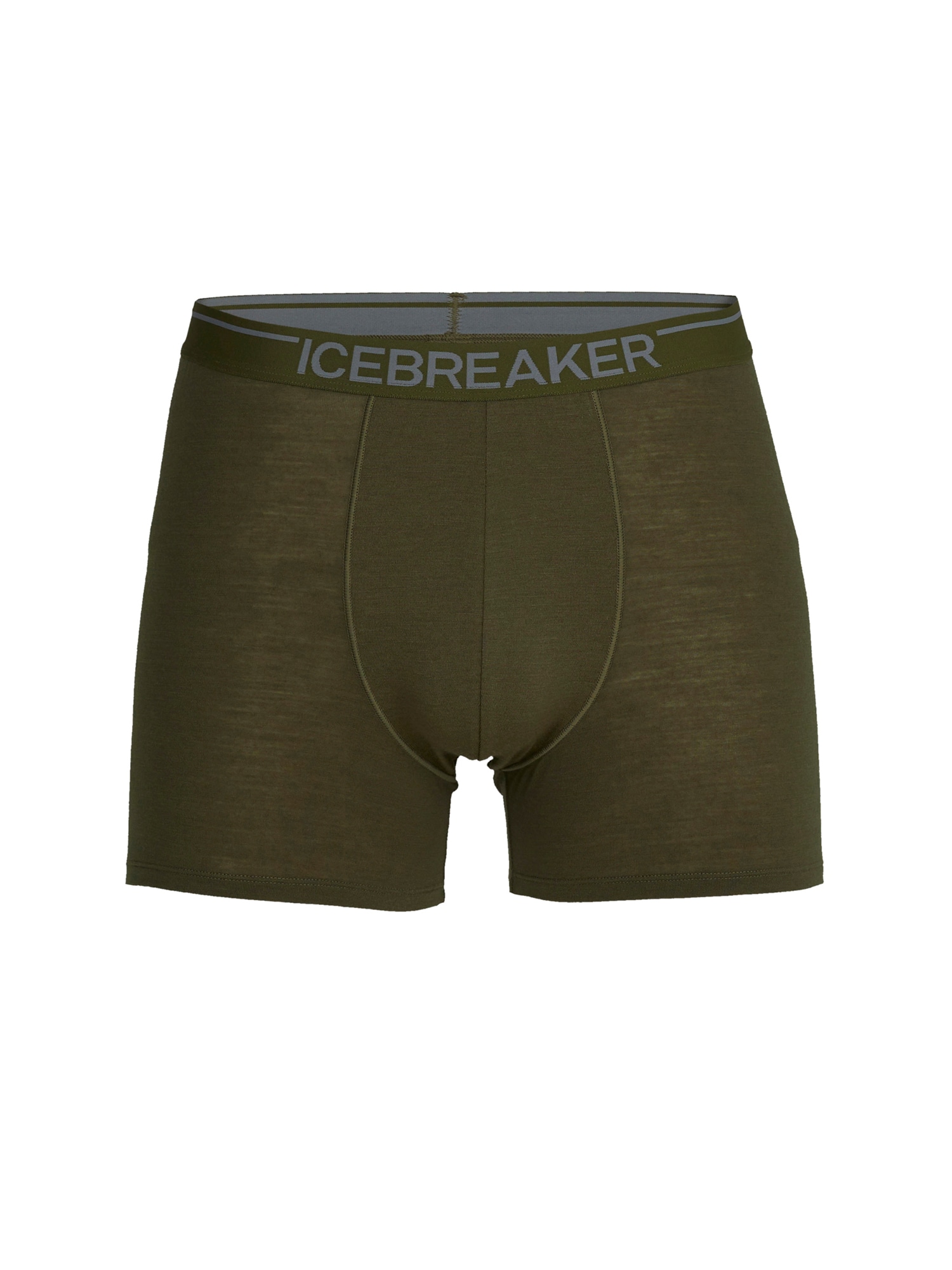 ICEBREAKER Športne spodnjice 'ANATOMICA'  siva / oliva