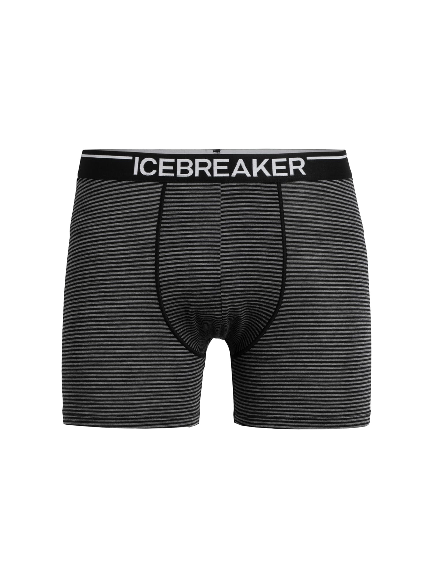 ICEBREAKER Športne spodnjice 'Anatomica'  siva