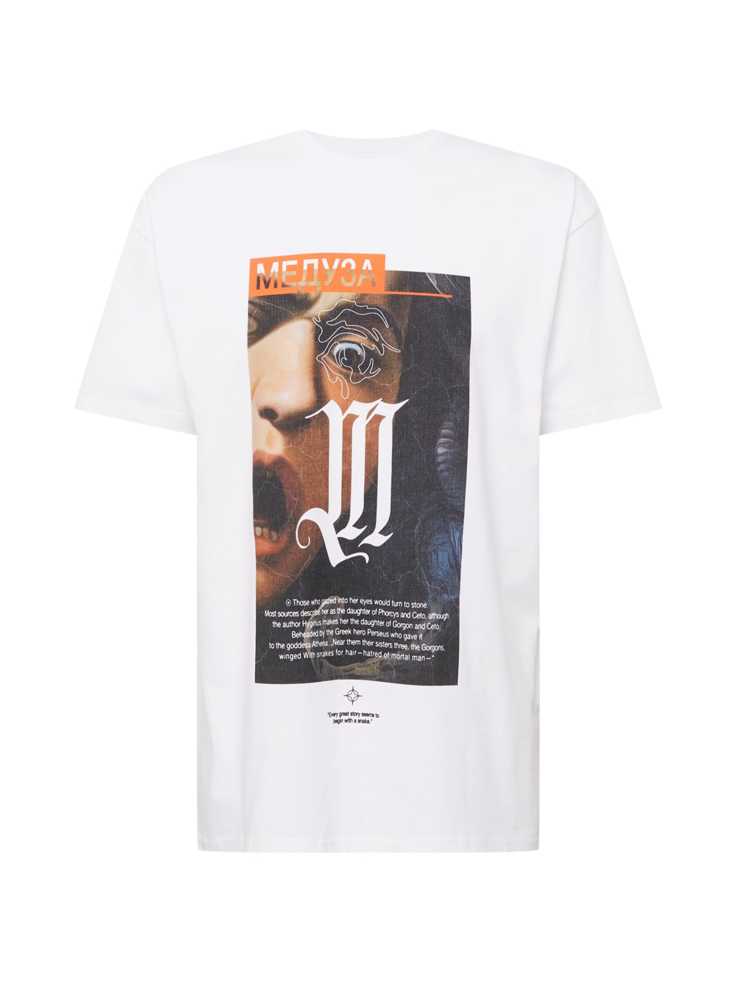 Mister Tee Majica 'Dusa Painting'  bež / antracit / oranžna / bela