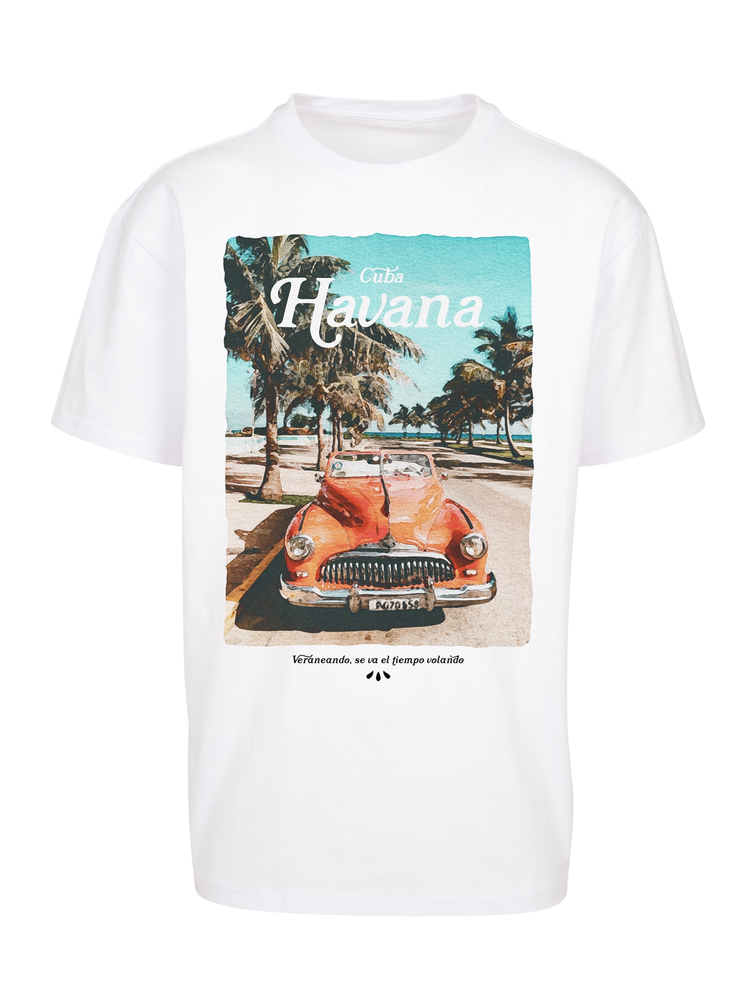 Mister Tee Majica 'Havana Vibe'  kapučino / oliva / žad / črna / bela