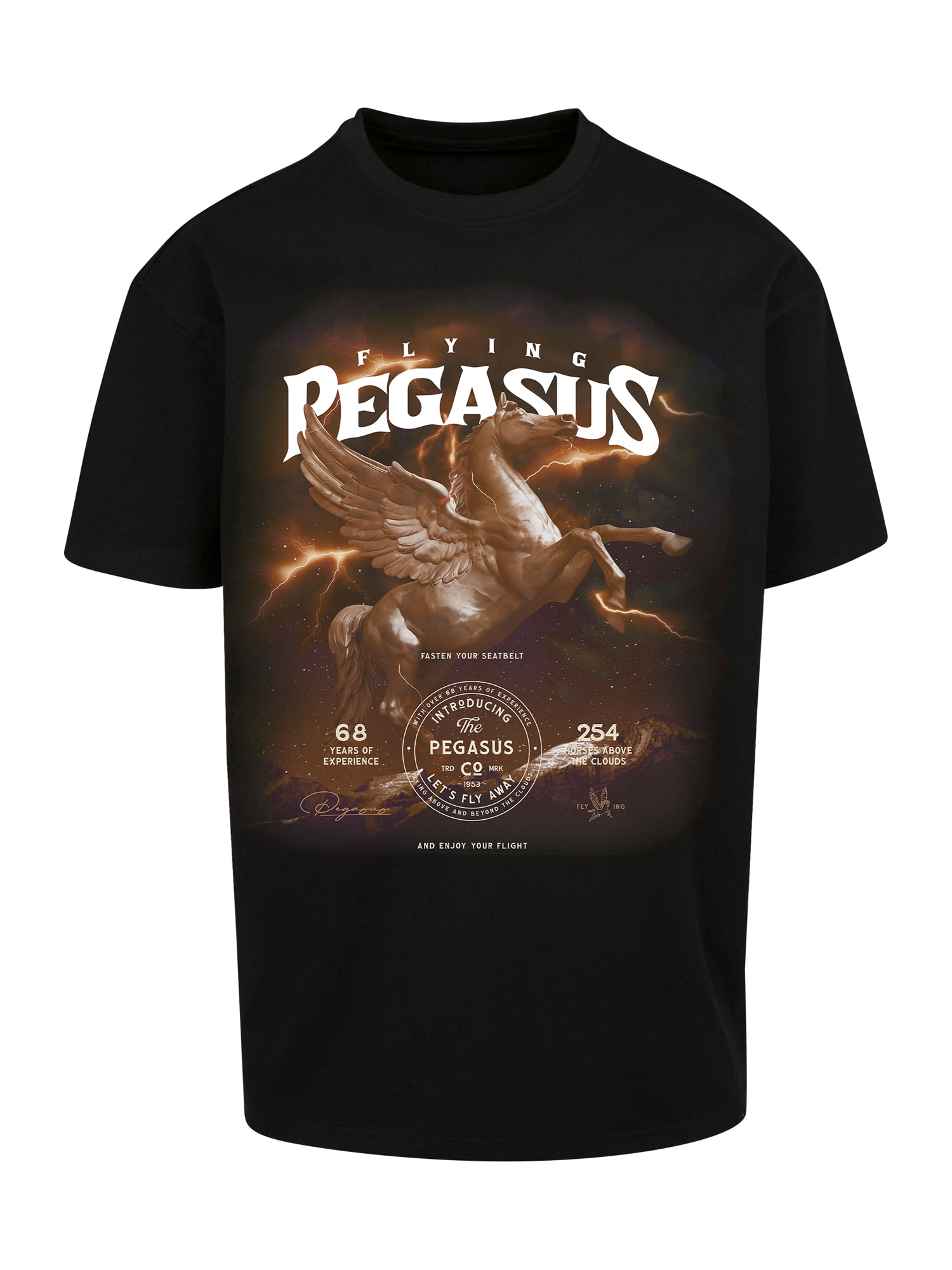 Mister Tee Majica 'Pegasus'  svetlo modra / pueblo / mokka / bela