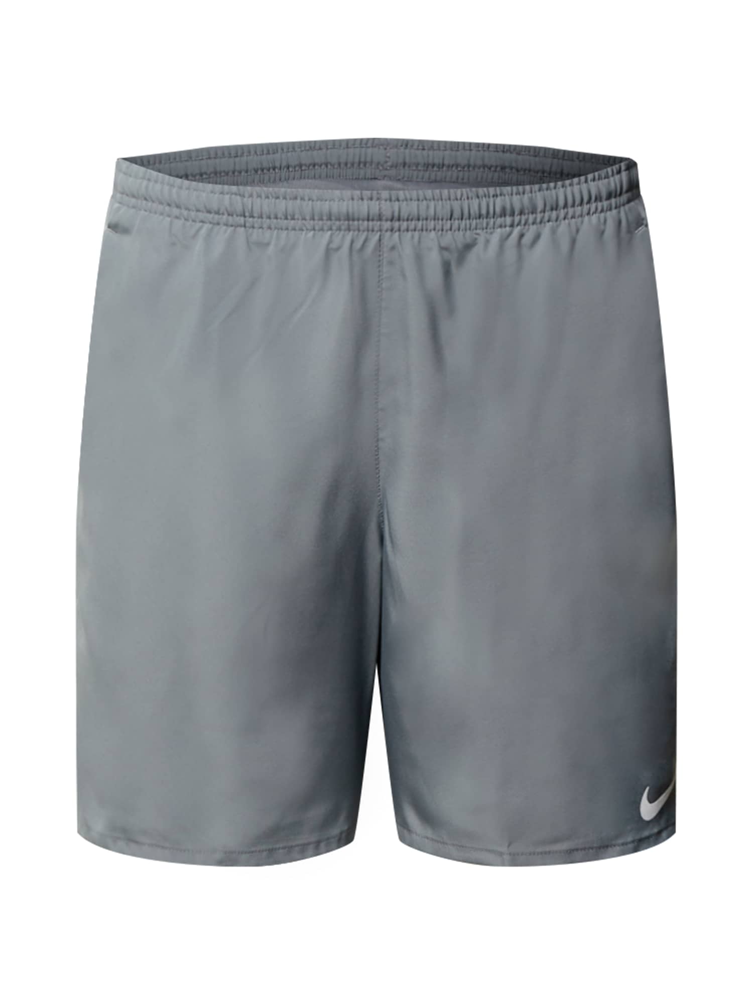 NIKE Športne hlače  siva / temno siva