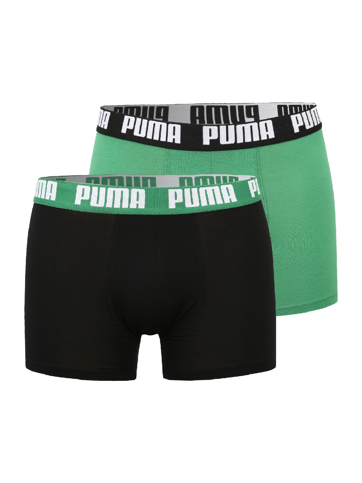 PUMA Boksarice  travnato zelena / črna / bela
