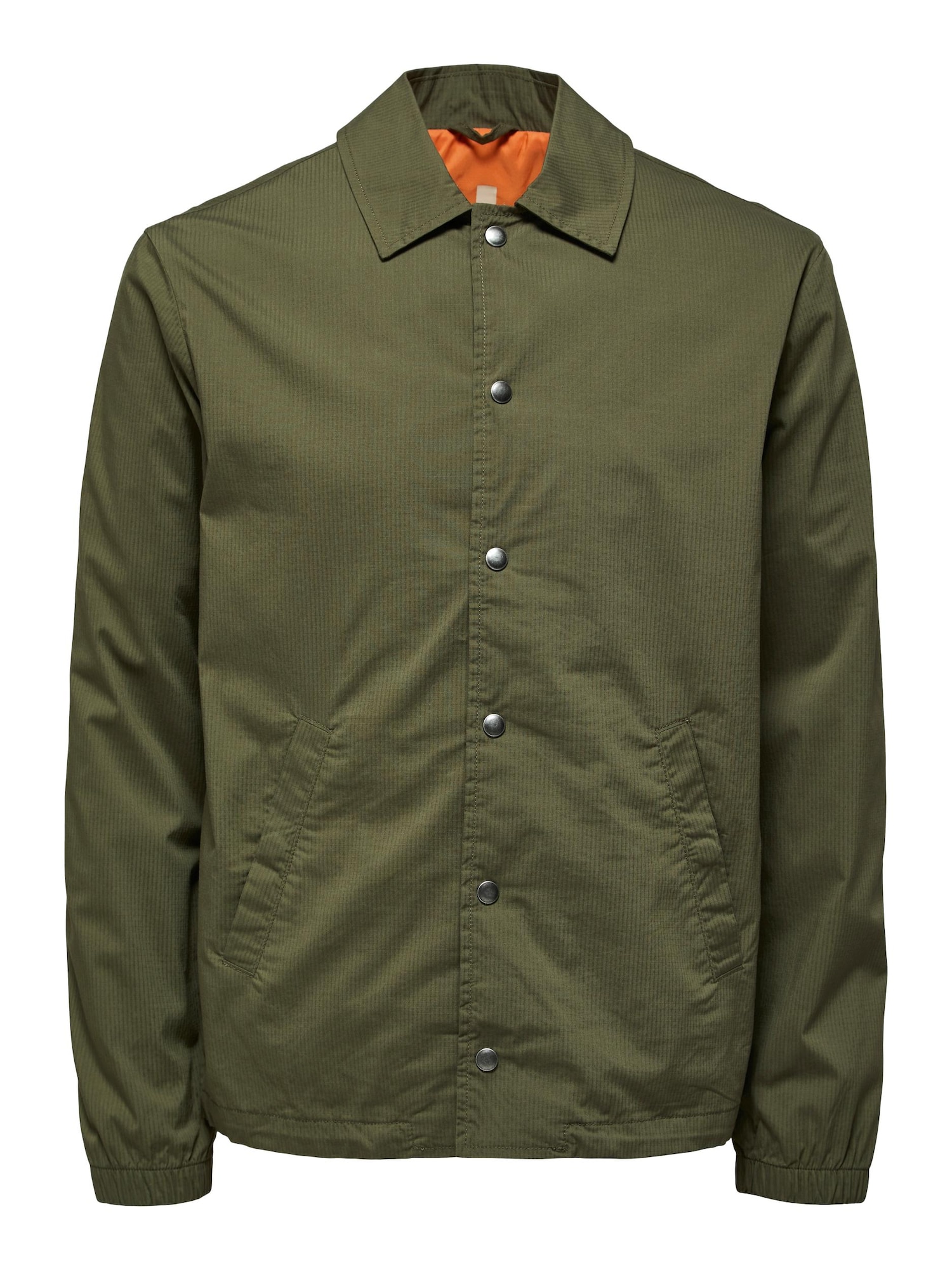 SELECTED HOMME Prehodna jakna 'Skye'  oliva