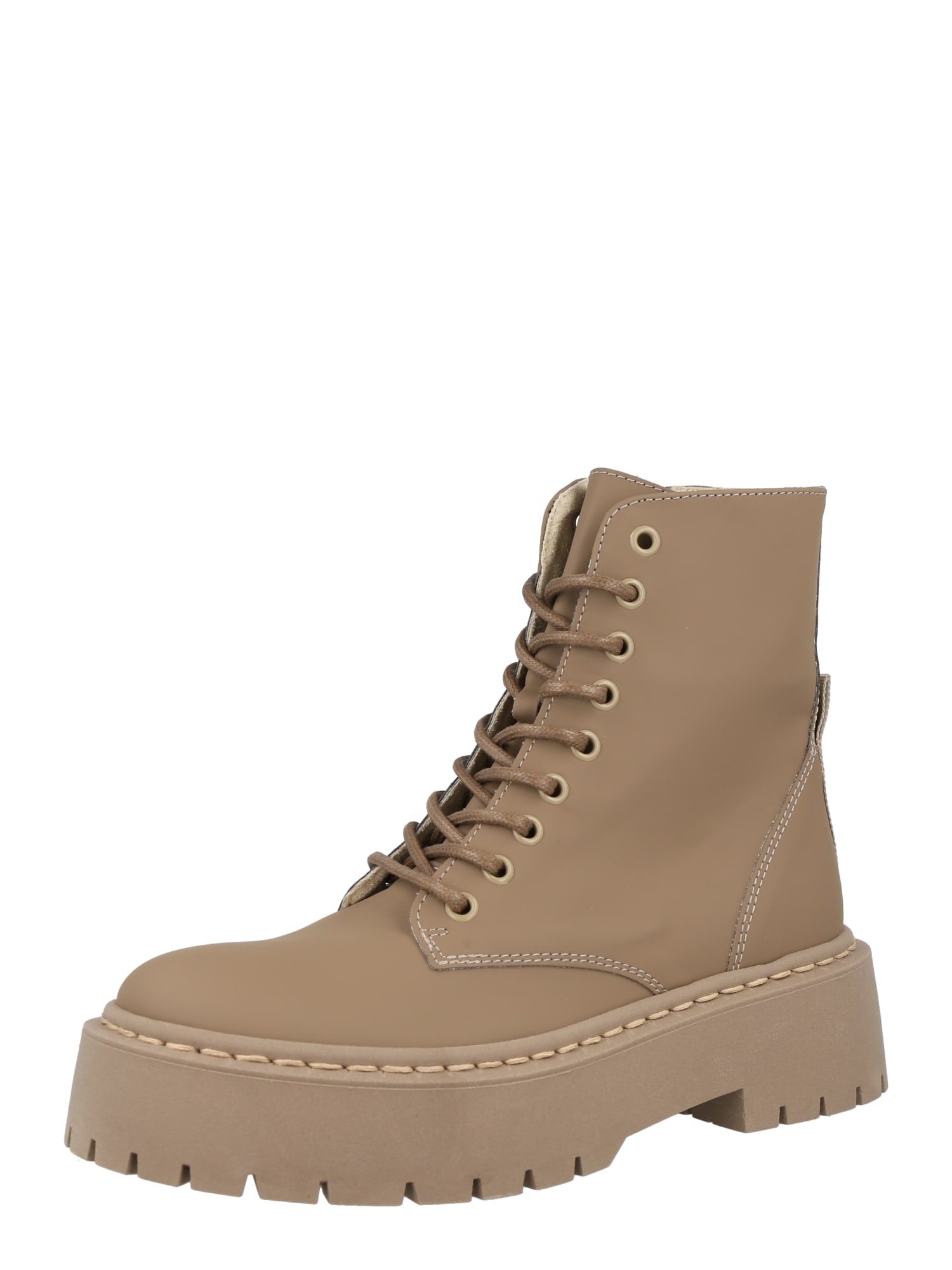 STEVE MADDEN Gležnarji z vezalkami 'SKYLAR'  temno bež
