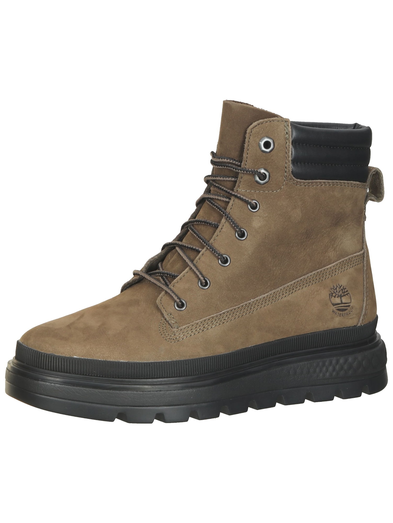 TIMBERLAND Gležnarji z vezalkami 'Ray City 6'  oliva