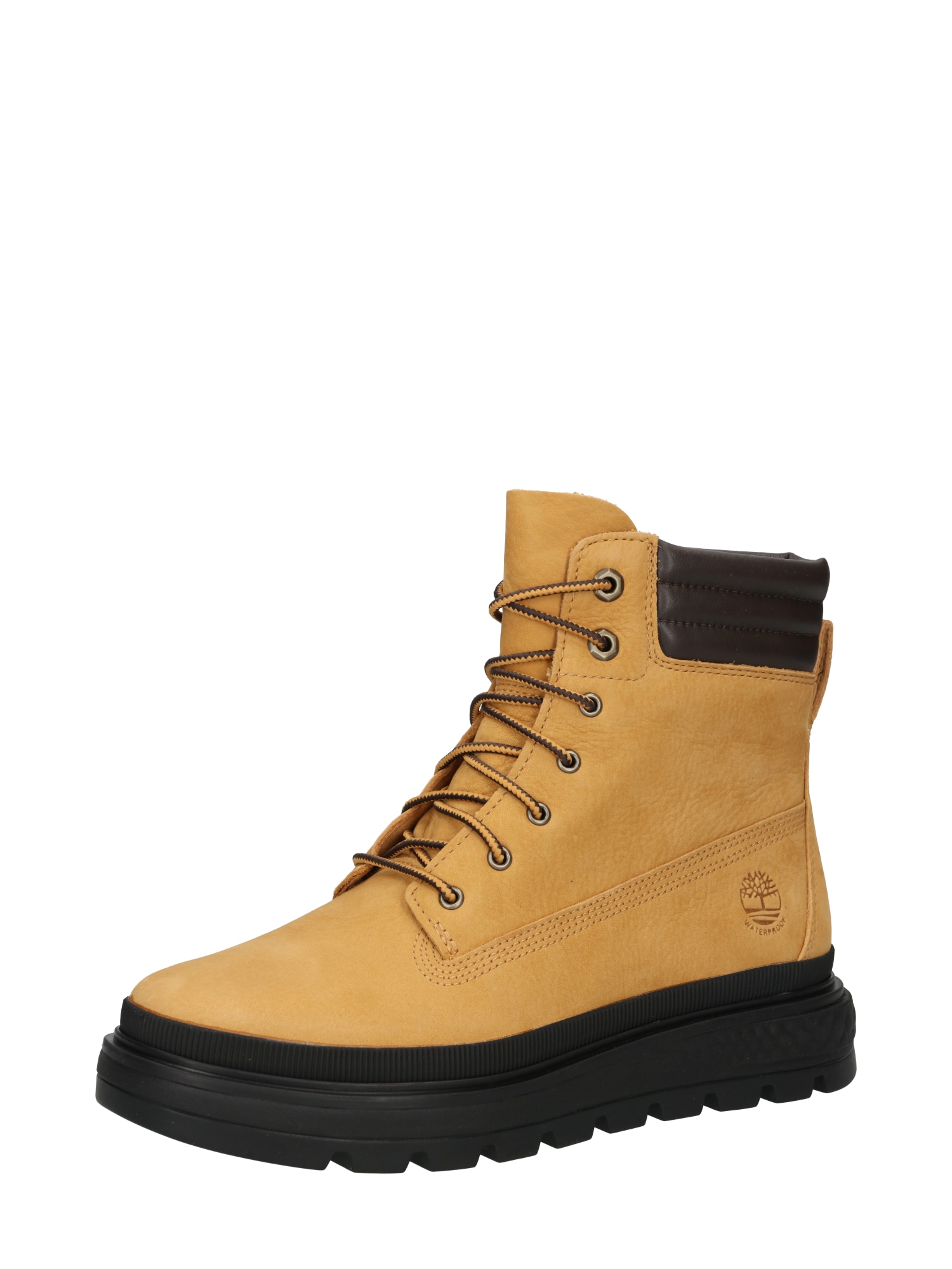 TIMBERLAND Gležnarji z vezalkami 'Ray City'  konjak / črna