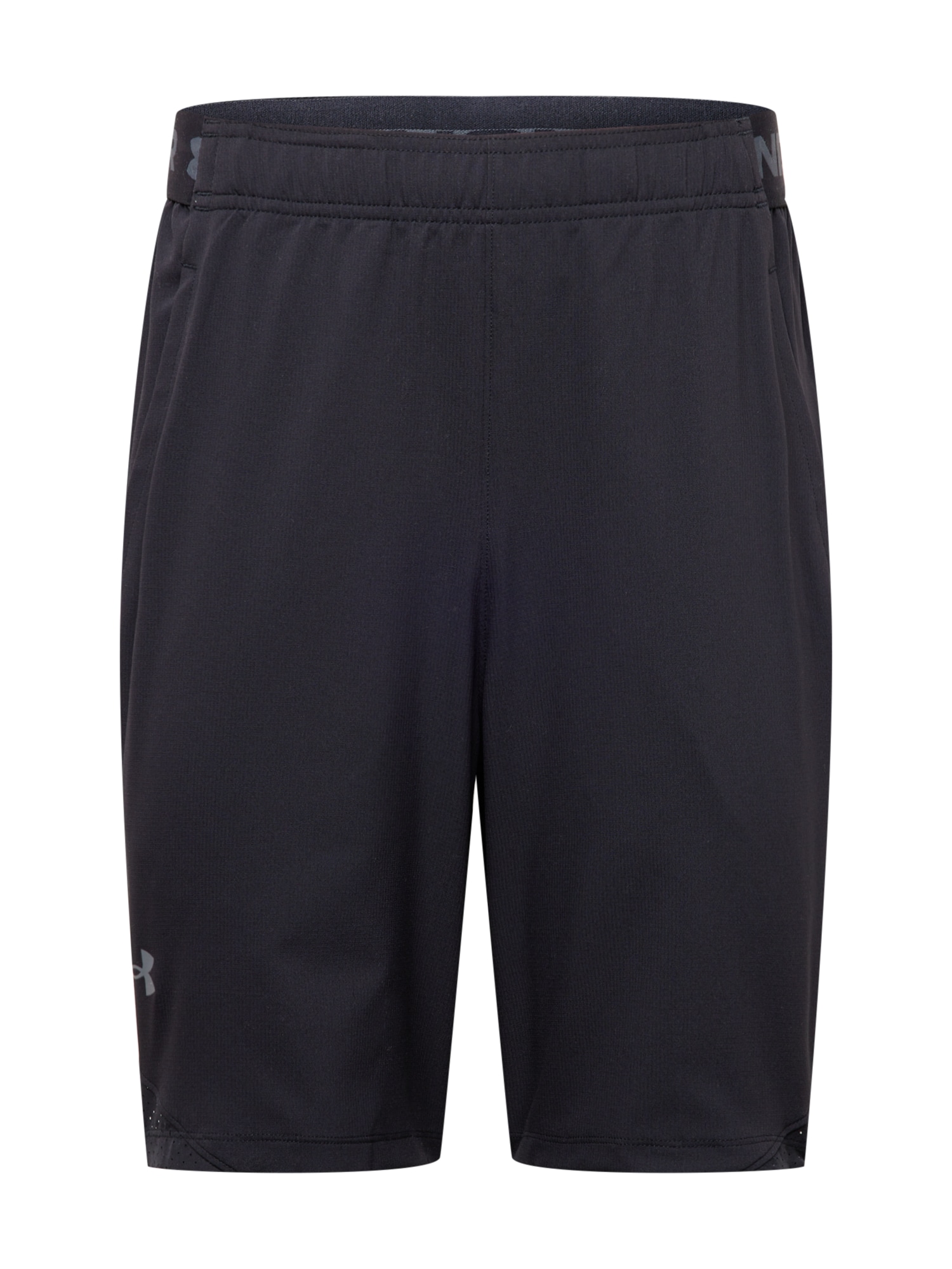 UNDER ARMOUR Športne hlače 'Vanish'  siva / črna