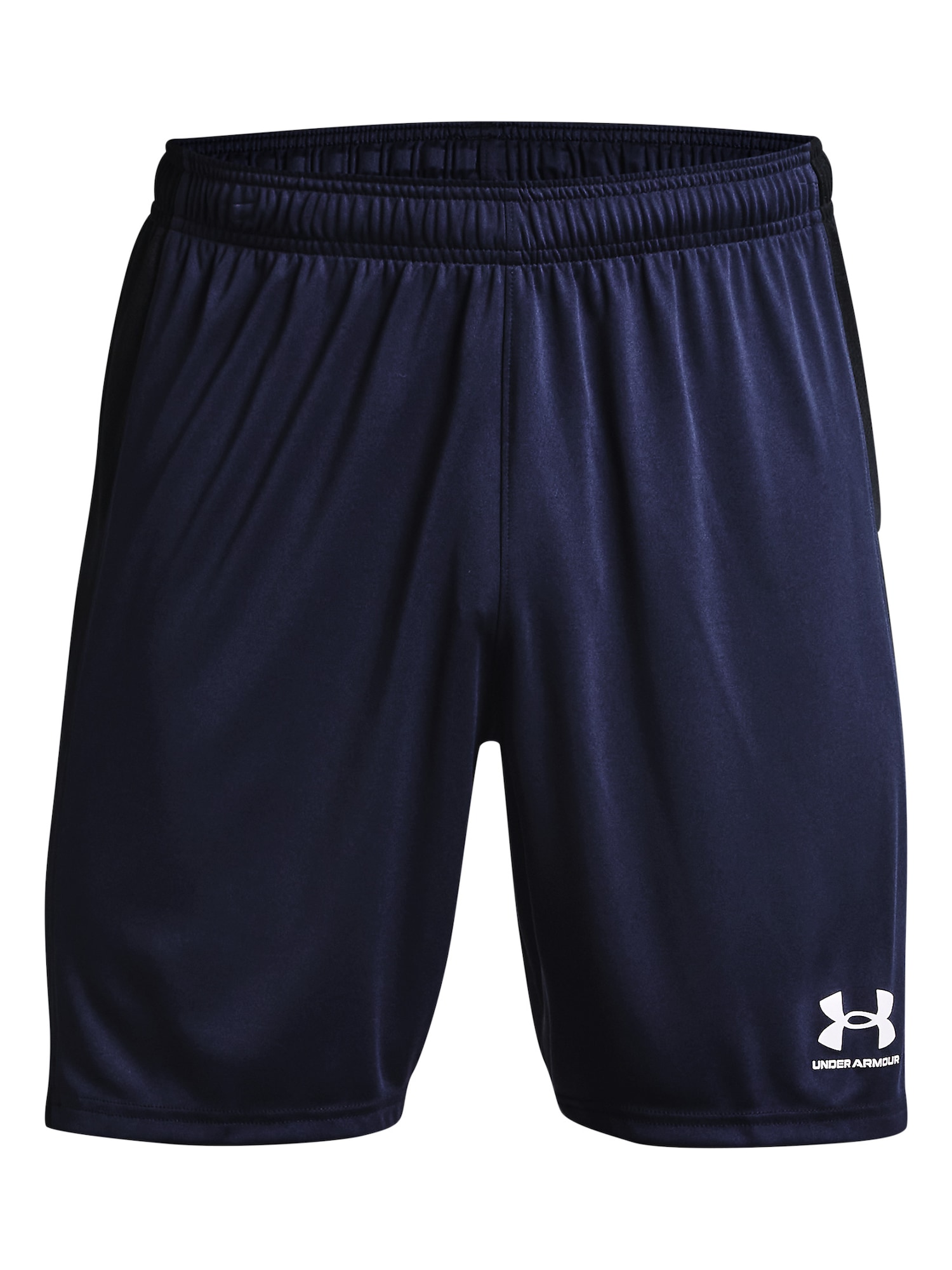 UNDER ARMOUR Športne hlače  temno modra / bela