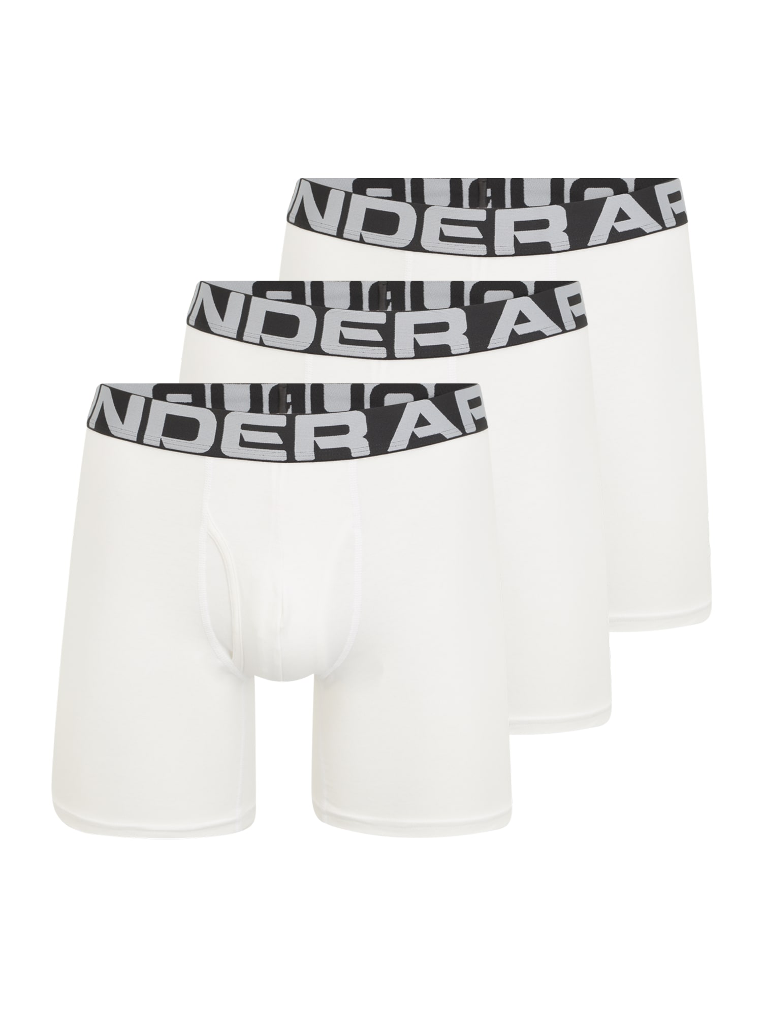 UNDER ARMOUR Športne spodnjice  siva / črna / bela
