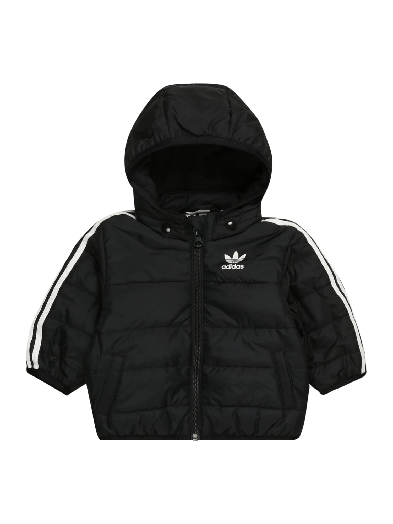 ADIDAS ORIGINALS Zimska jakna  črna / bela