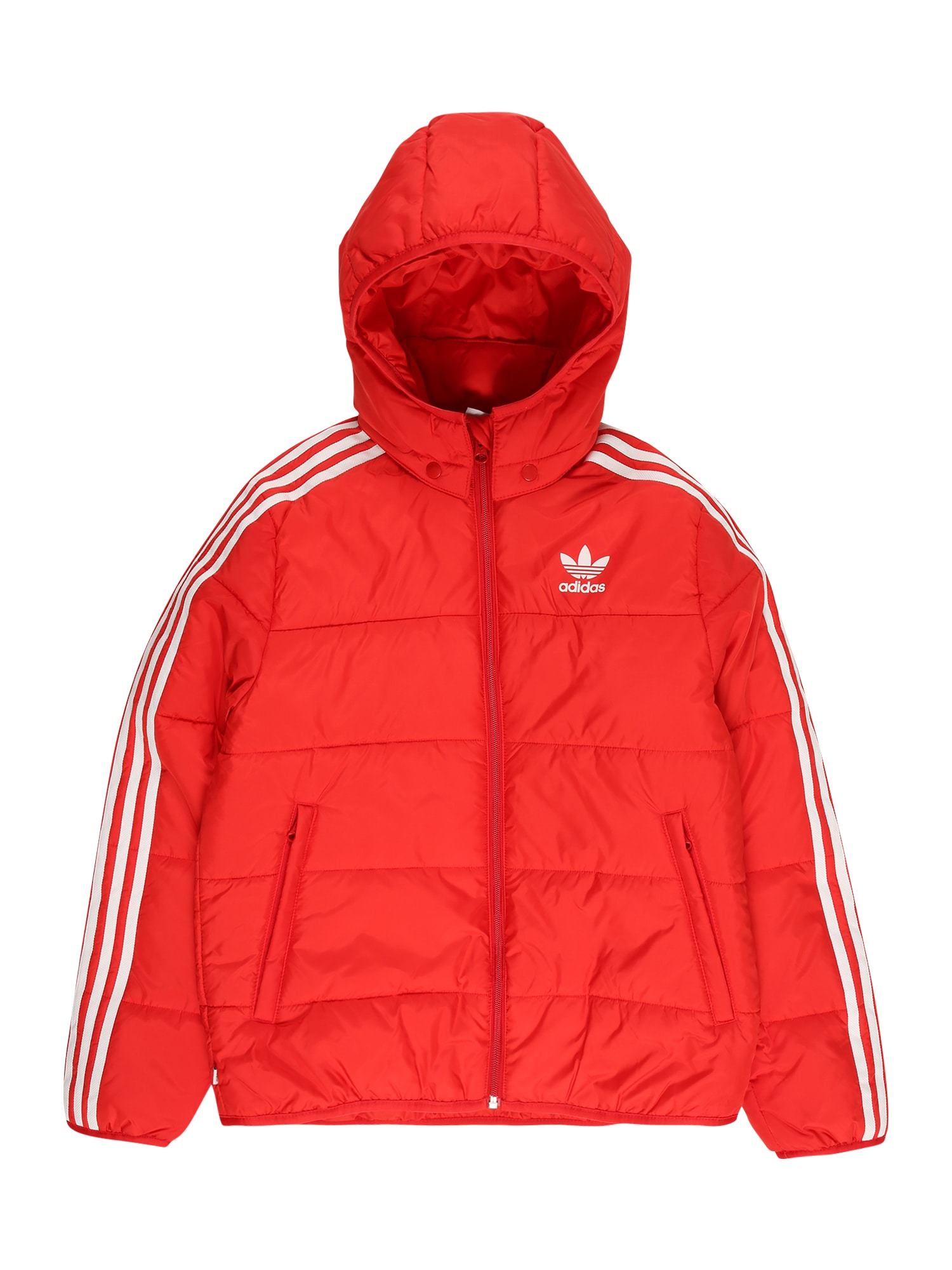 ADIDAS ORIGINALS Zimska jakna  rdeča / bela