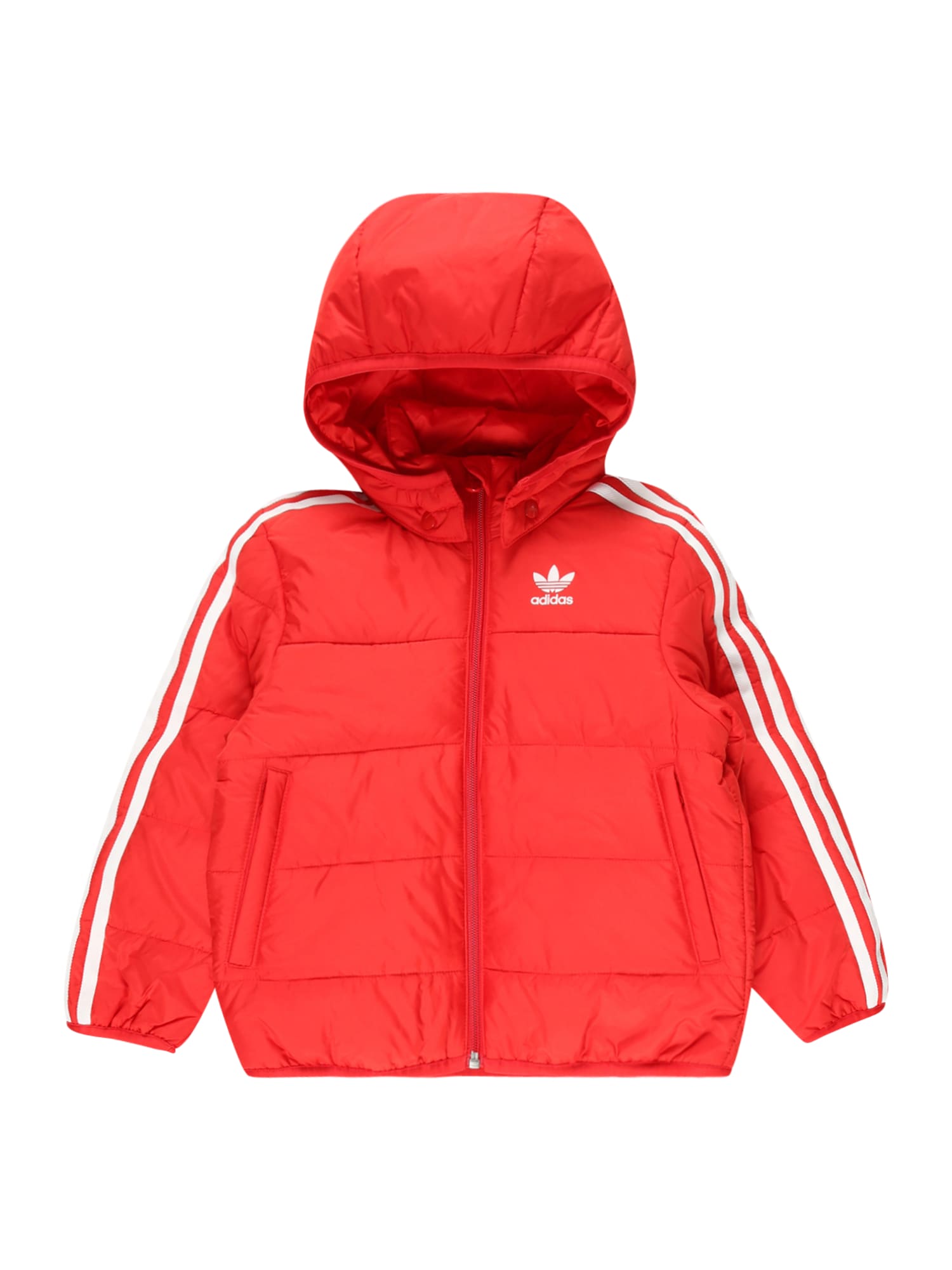 ADIDAS ORIGINALS Zimska jakna  rdeča / bela