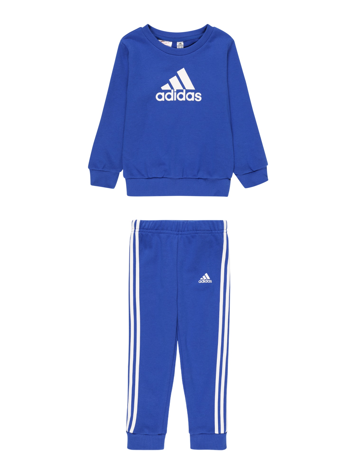 ADIDAS PERFORMANCE Športna trenirka  modra / bela