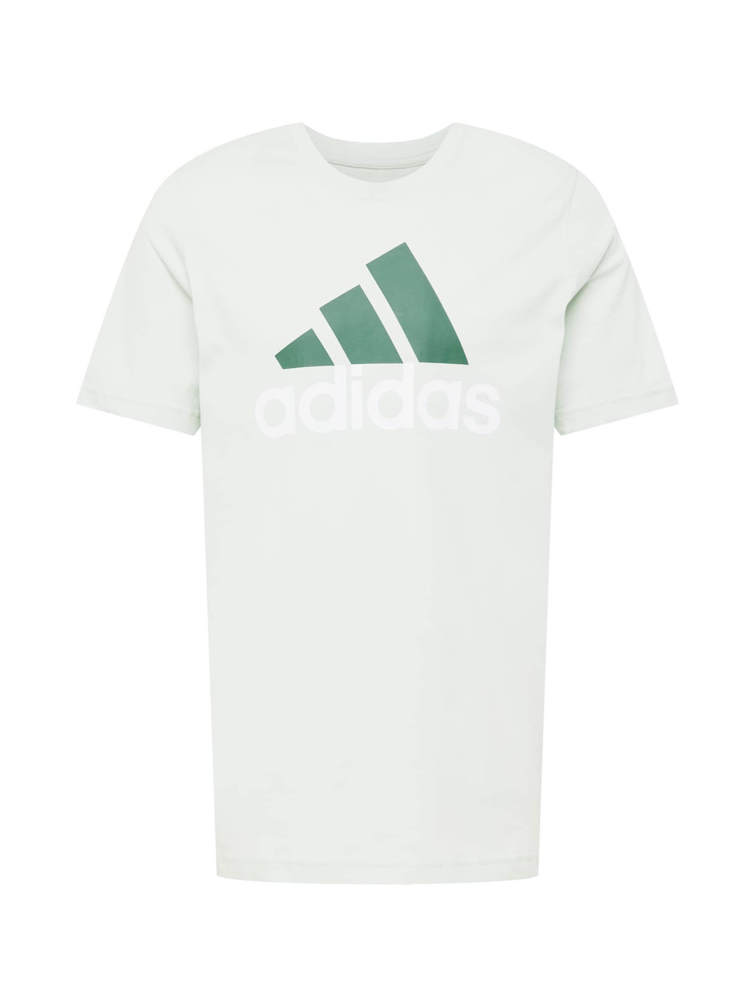 ADIDAS SPORTSWEAR Funkcionalna majica  pastelno zelena / temno zelena / bela