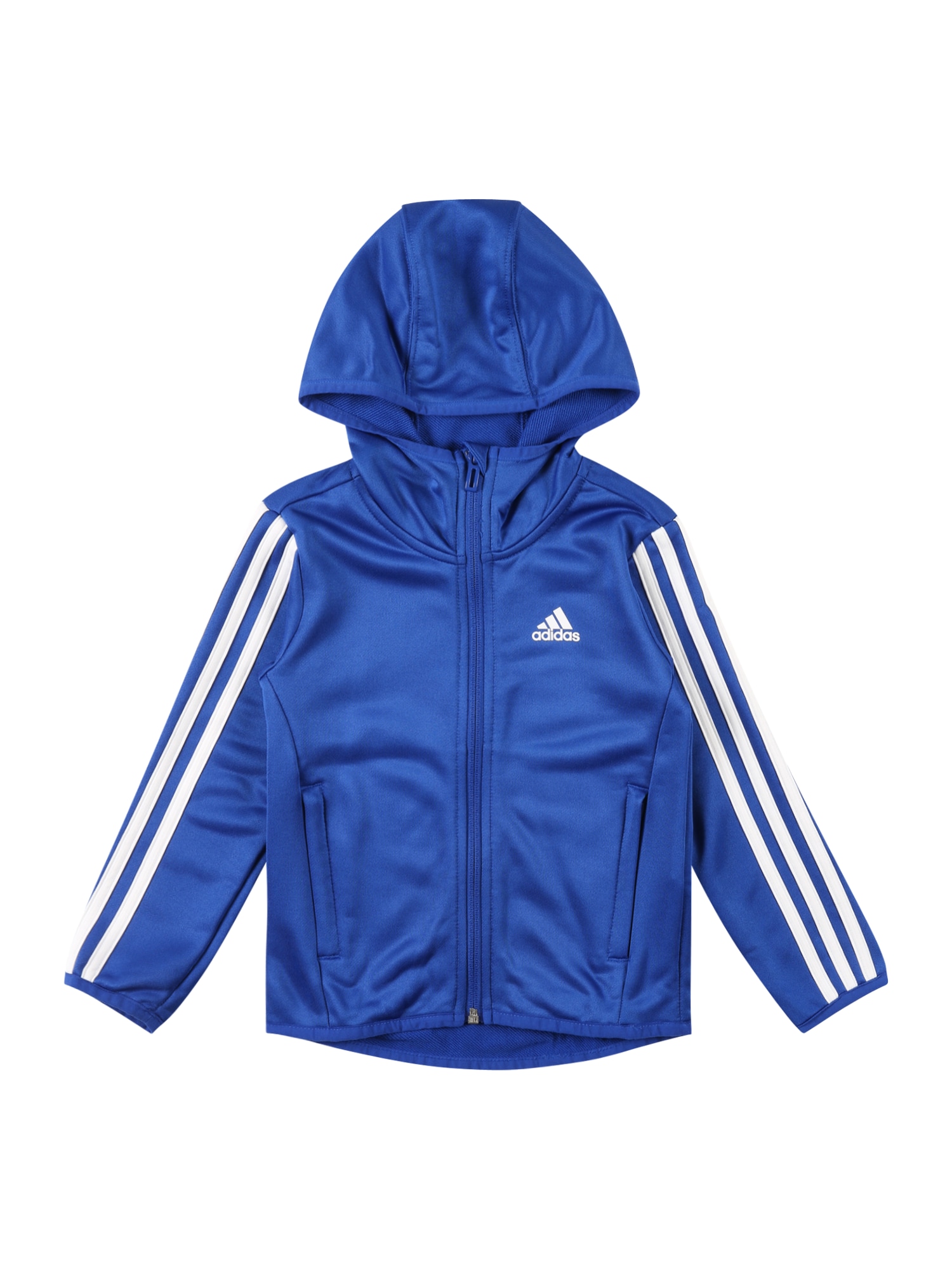 ADIDAS SPORTSWEAR Športna jopa na zadrgo  kraljevo modra / bela