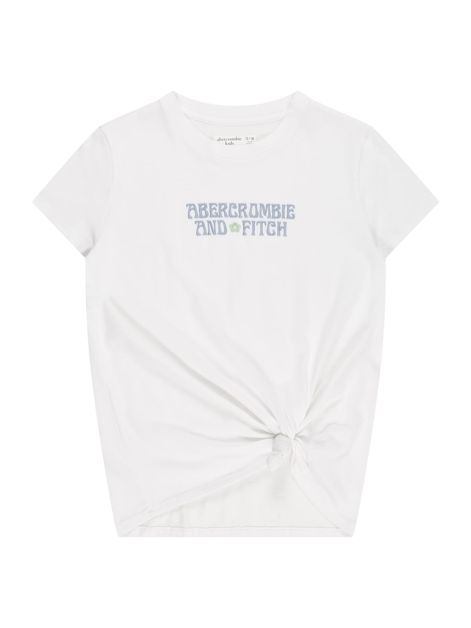 Abercrombie & Fitch Majica  dimno modra / svetlo zelena / bela