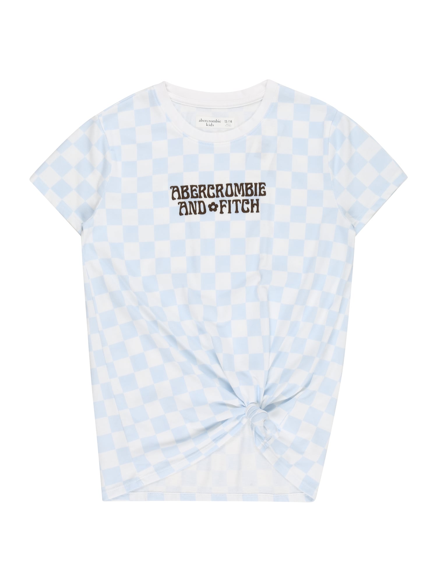 Abercrombie & Fitch Majica  svetlo modra / temno rjava / bela