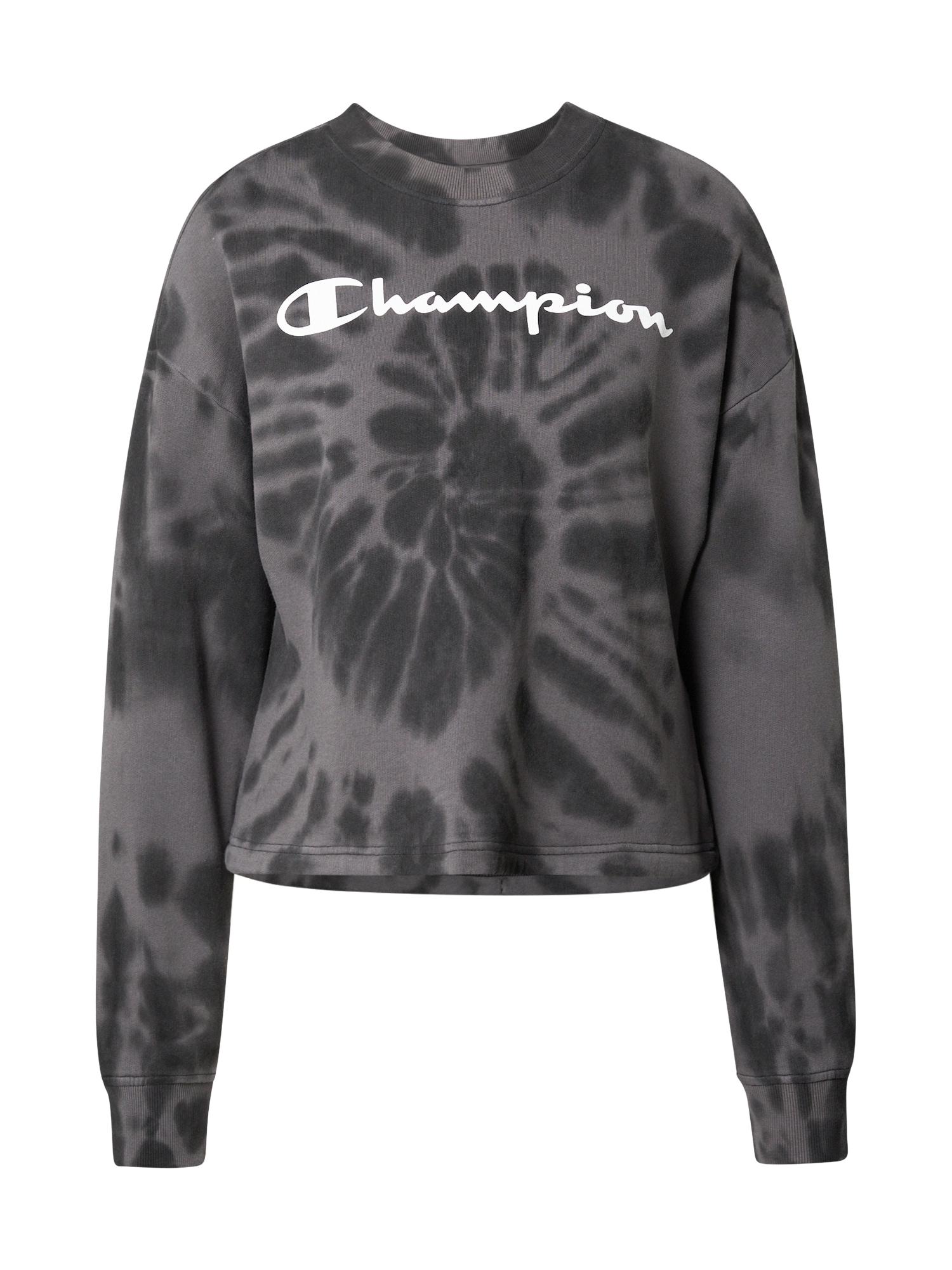 Champion Authentic Athletic Apparel Majica  temno siva / črna / bela