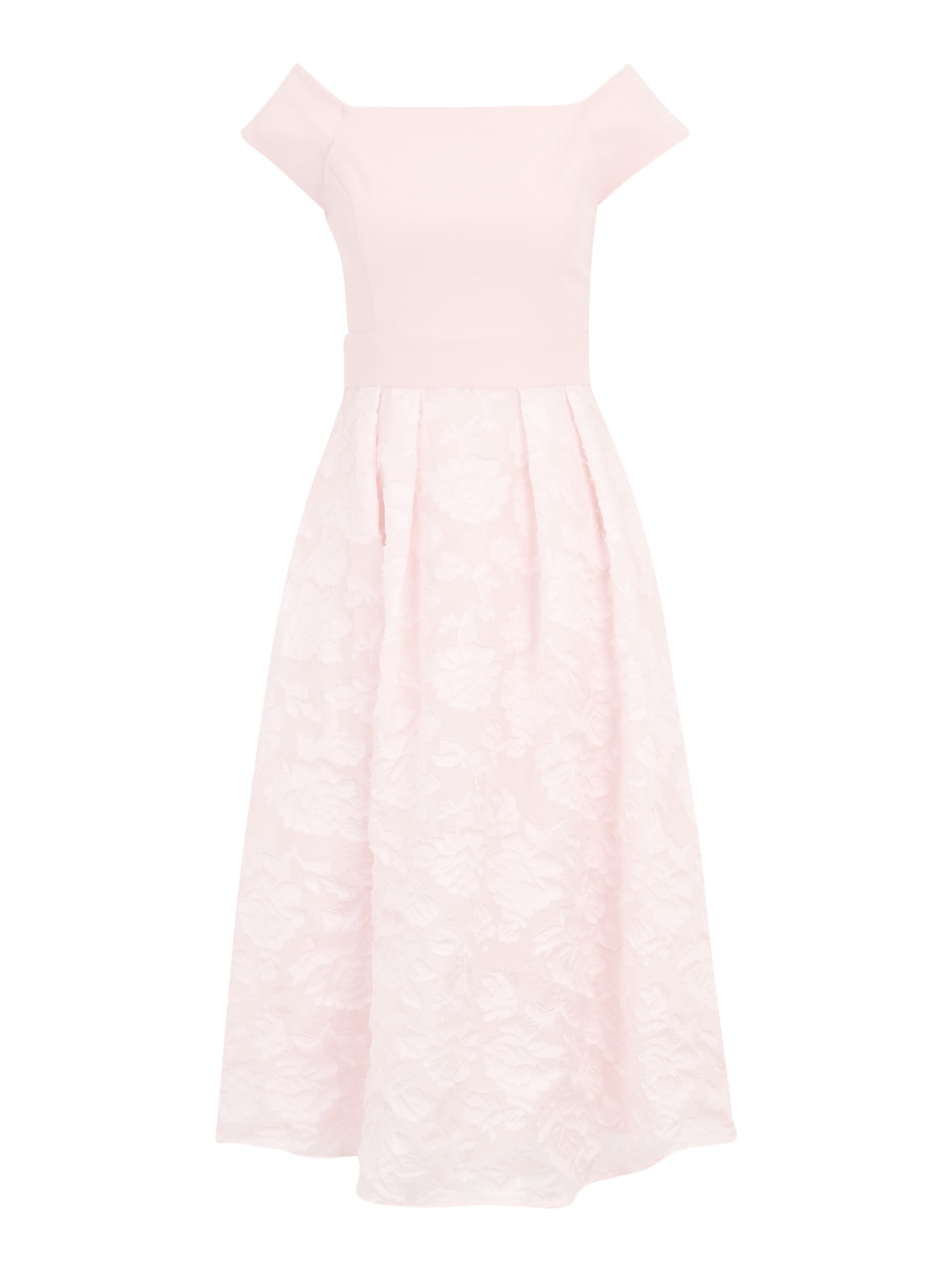 Coast Obleka  pastelno roza