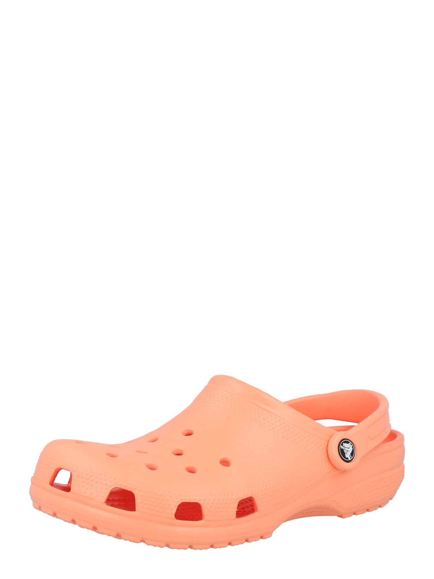 Crocs Cokle  losos