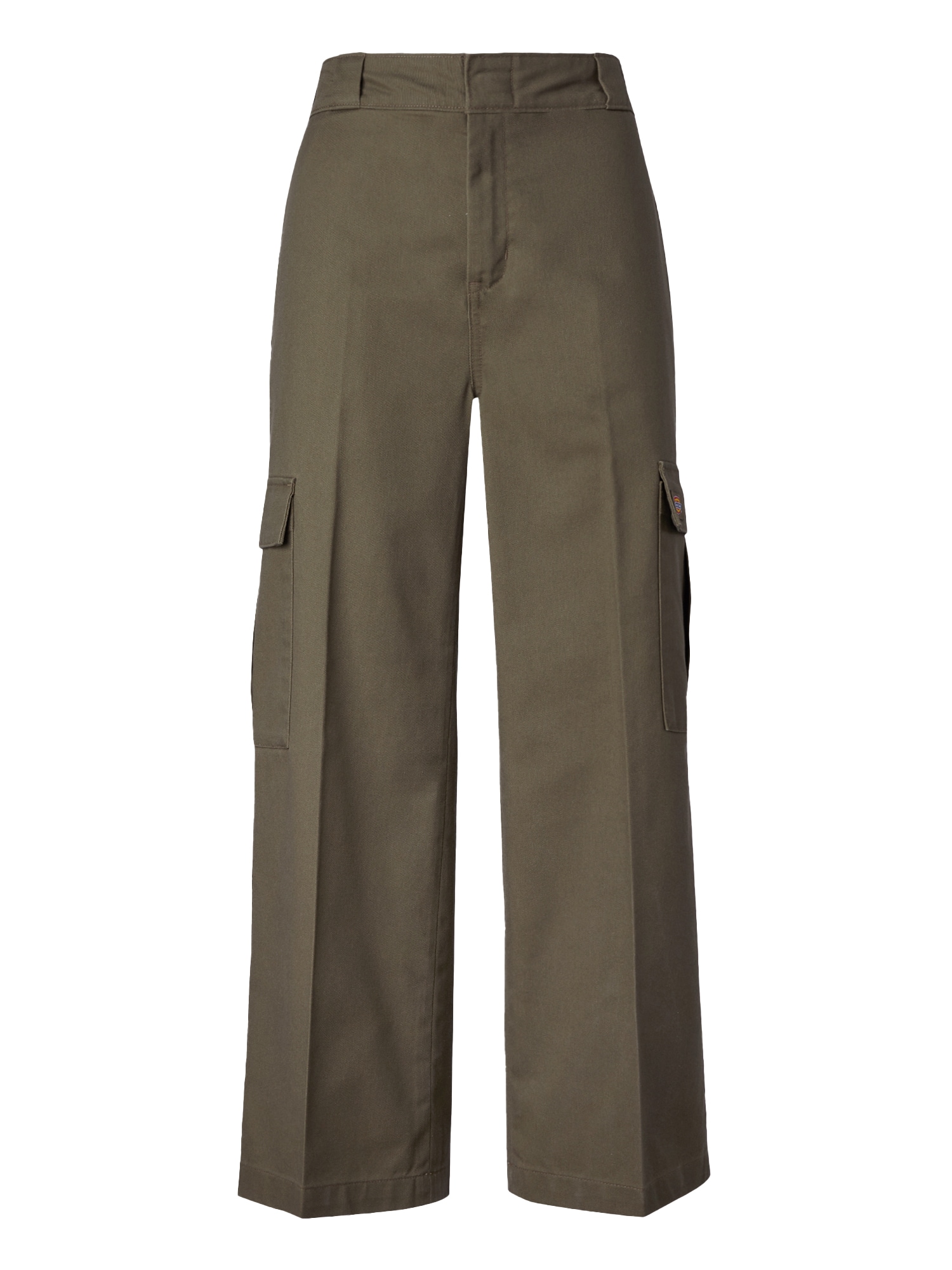 DICKIES Kargo hlače 'HOCKINSON'  temno zelena / mešane barve