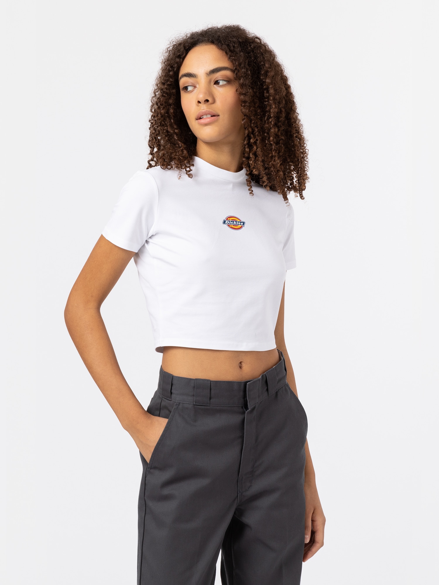 DICKIES Majica 'MAPLE VALLEY'  temno modra / rumena / rdeča / bela