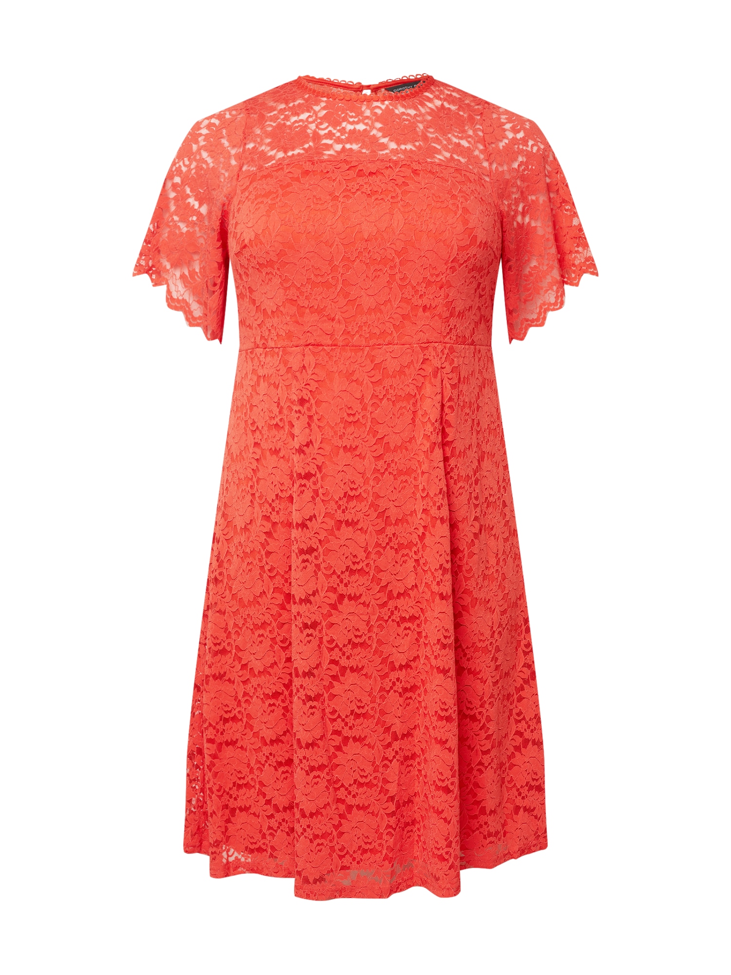 Dorothy Perkins Curve Obleka  korala