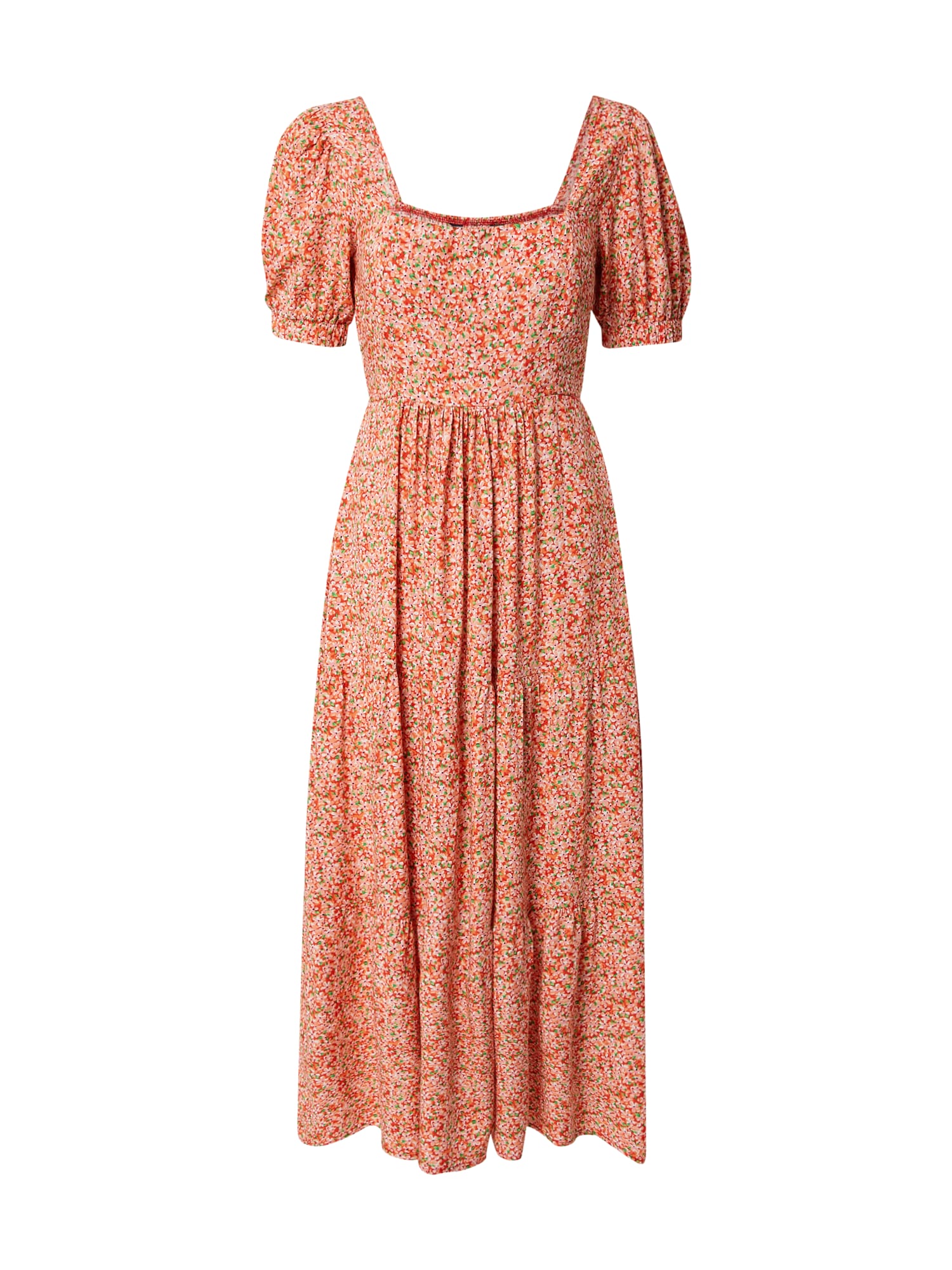 Dorothy Perkins Obleka  kremna / travnato zelena / svetlo rdeča