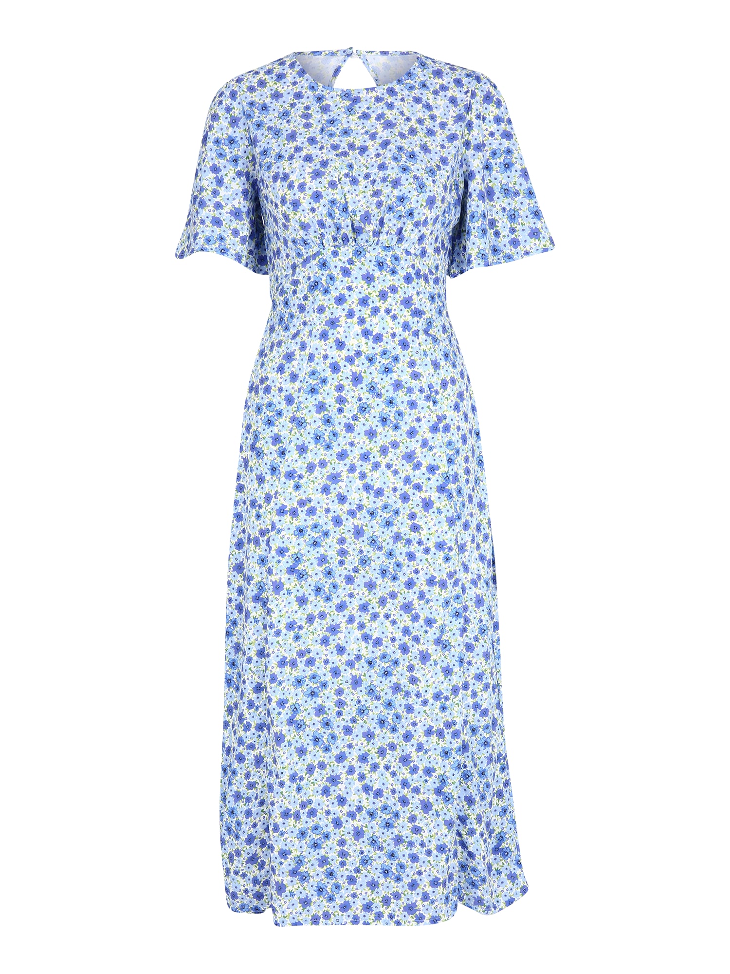 Dorothy Perkins Obleka  modra / svetlo modra / jabolko / bela