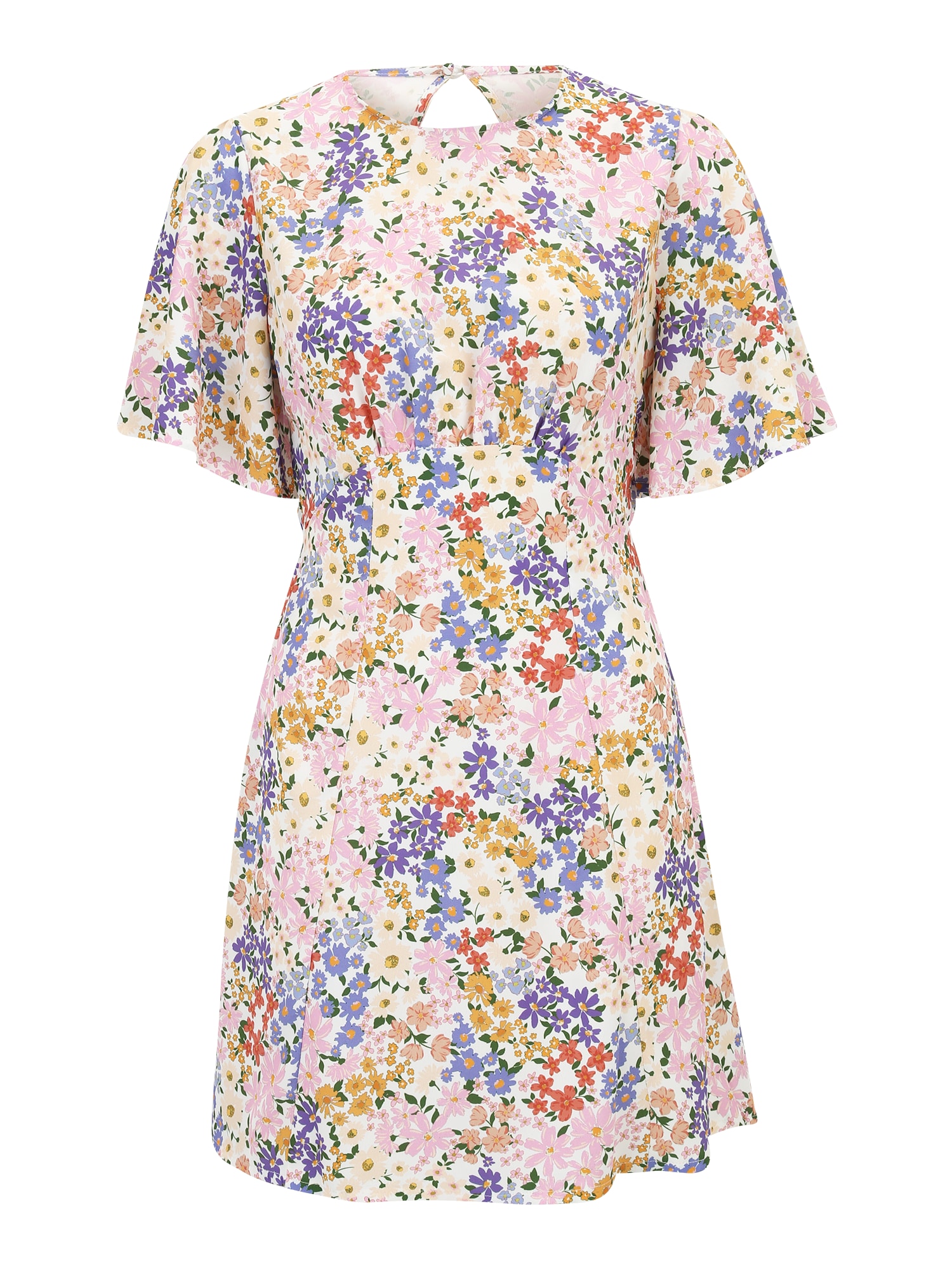 Dorothy Perkins Obleka  slonovina / mešane barve