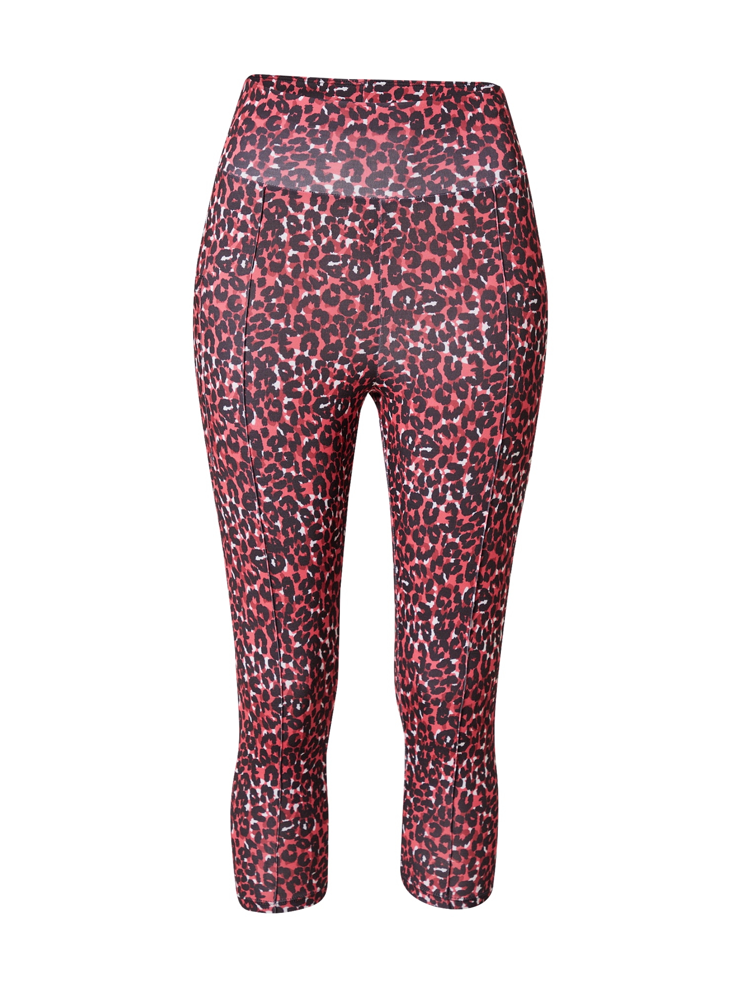 Dorothy Perkins Pajkice  malina / vinsko rdeča / črna / bela