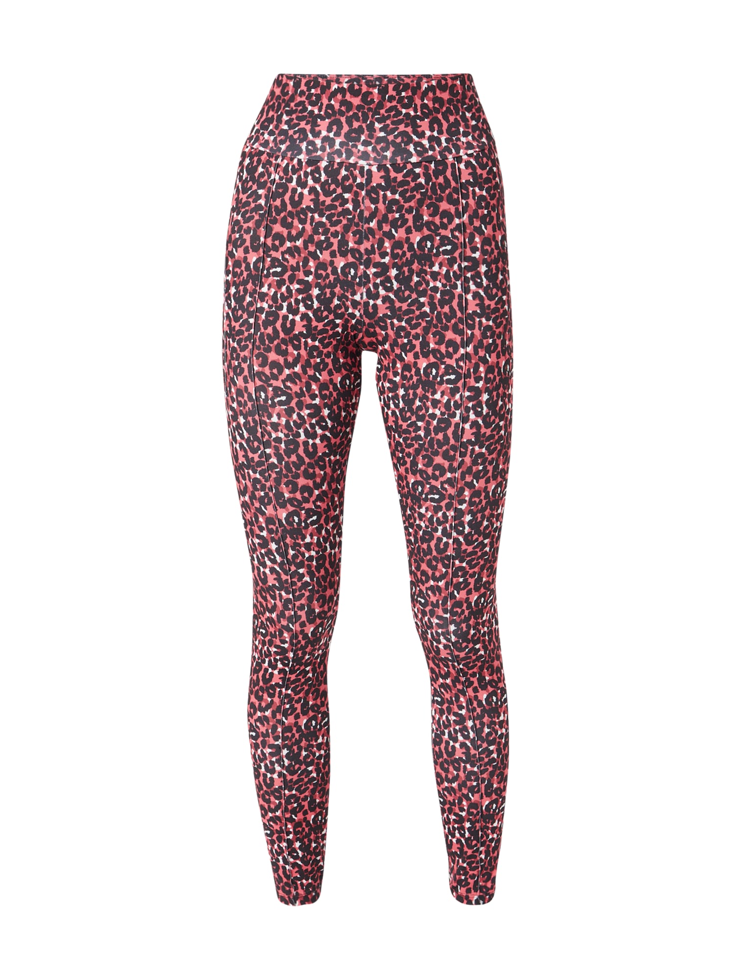 Dorothy Perkins Pajkice  svetlo roza / črna / bela