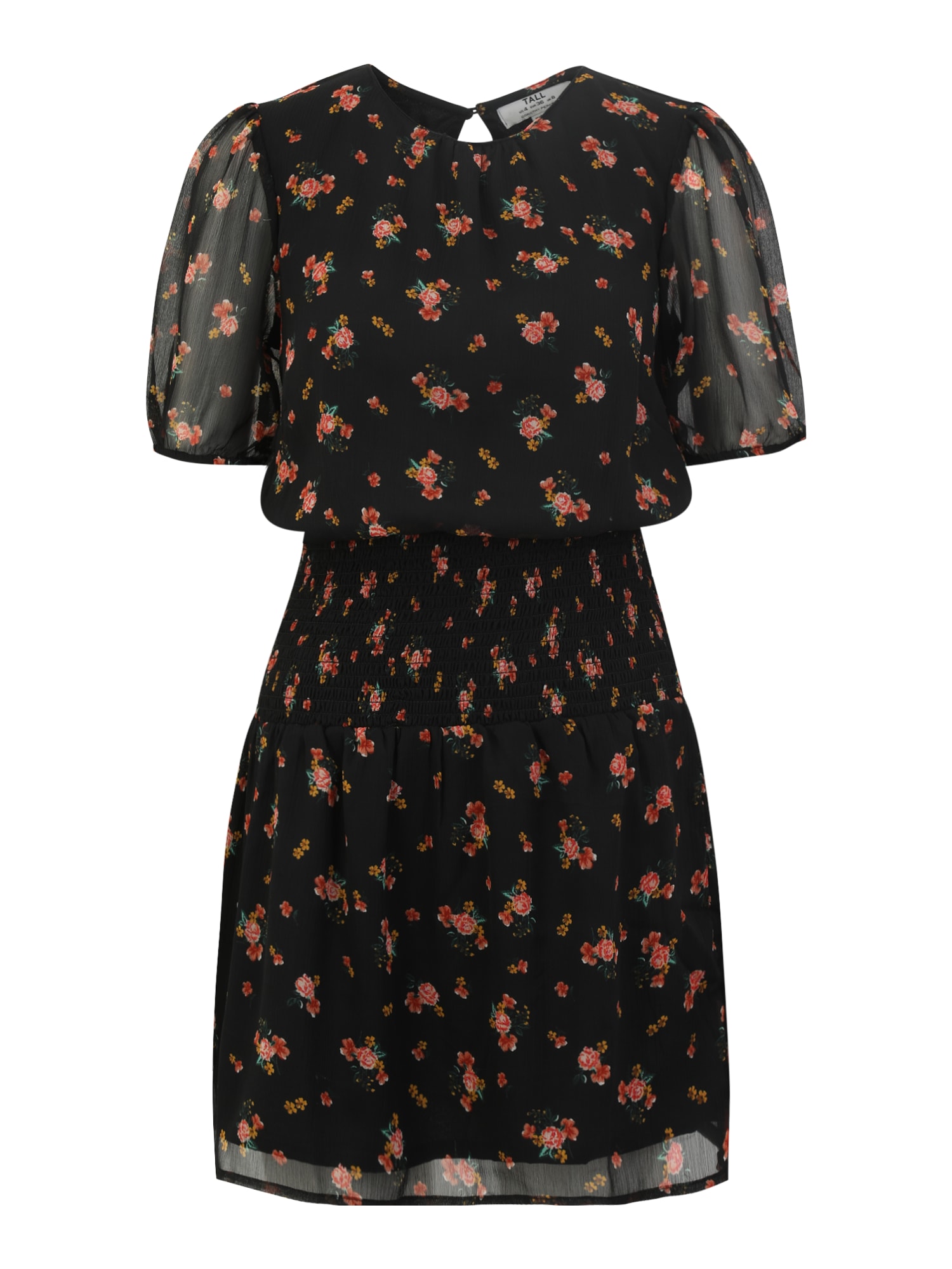 Dorothy Perkins Tall Poletna obleka  mešane barve / črna