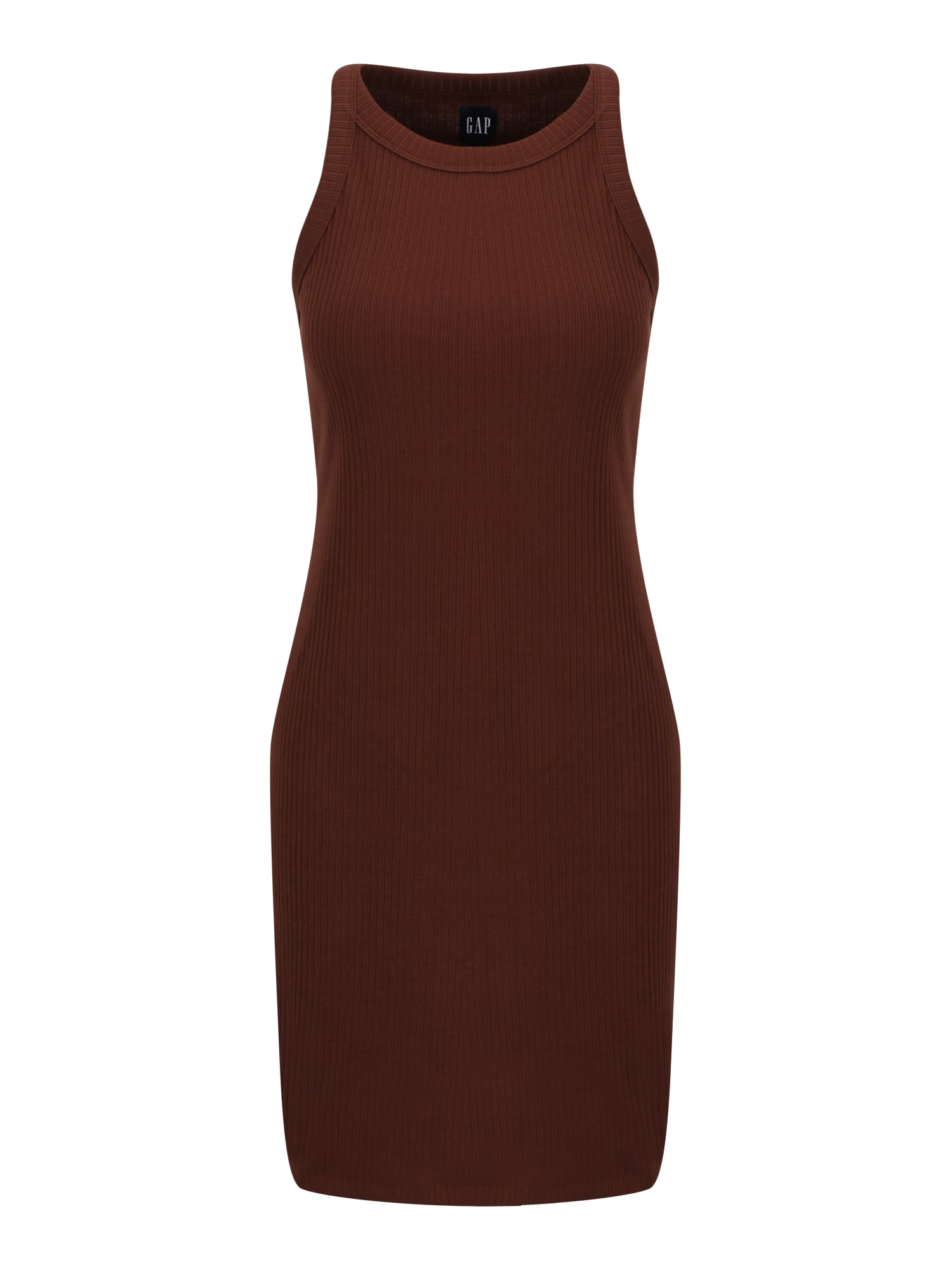 Gap Tall Obleka  čokolada